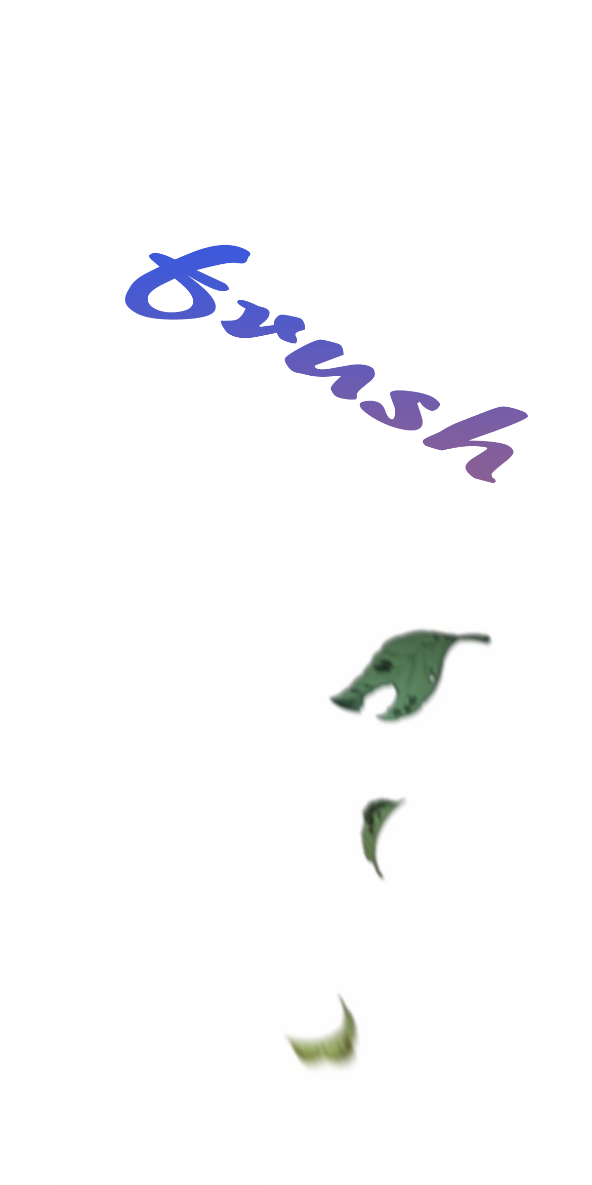 35.jpg