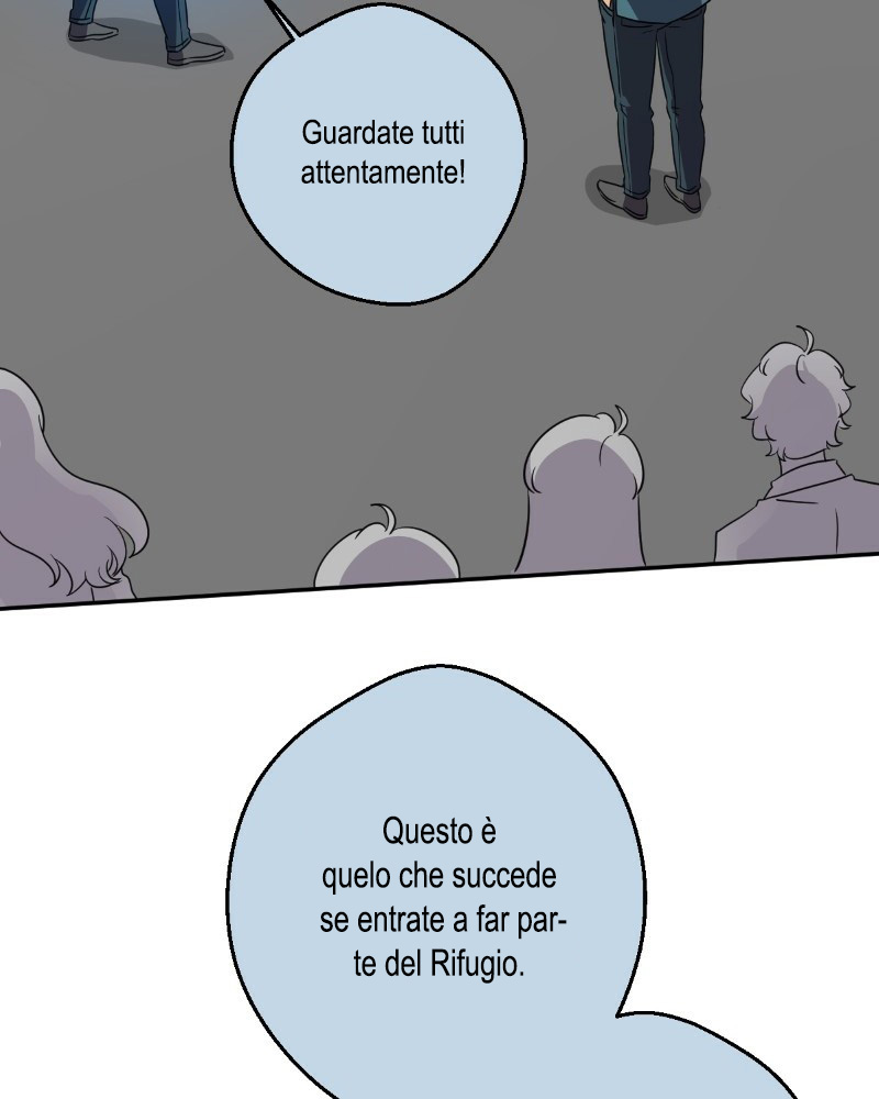81.jpg