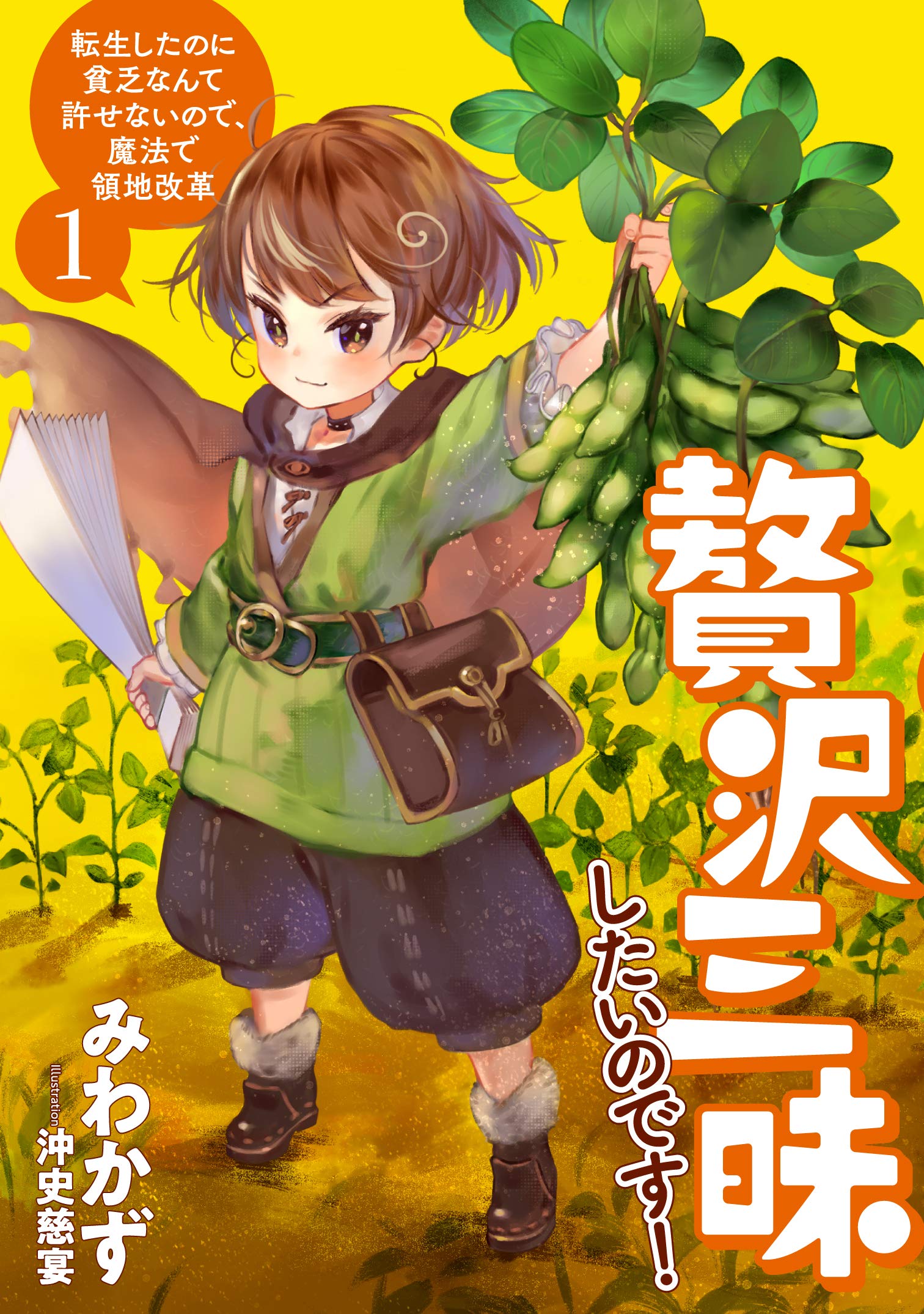 贅沢三昧したいのです！　転生したのに貧乏なんて許せないので、魔法で領地改革