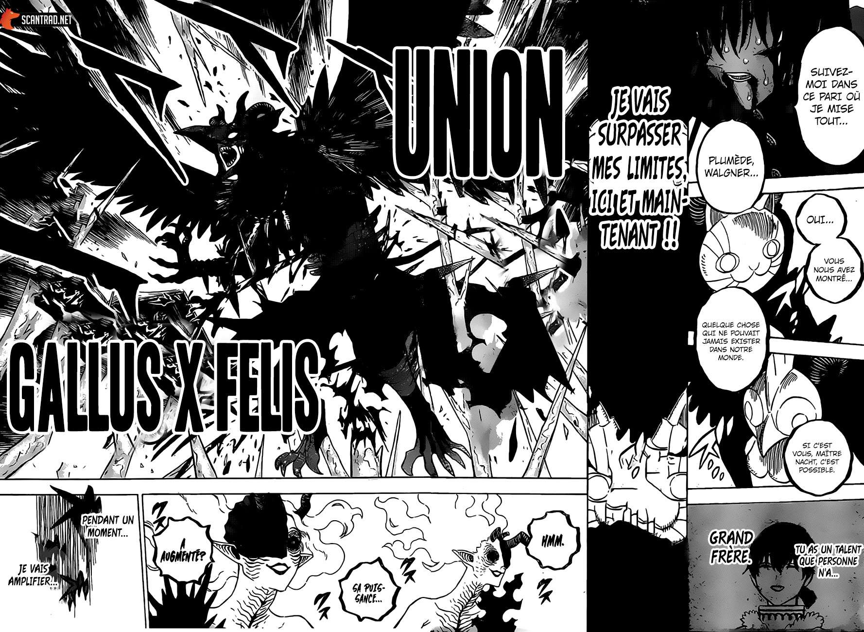  Black Clover - Chapitre 287 - 5