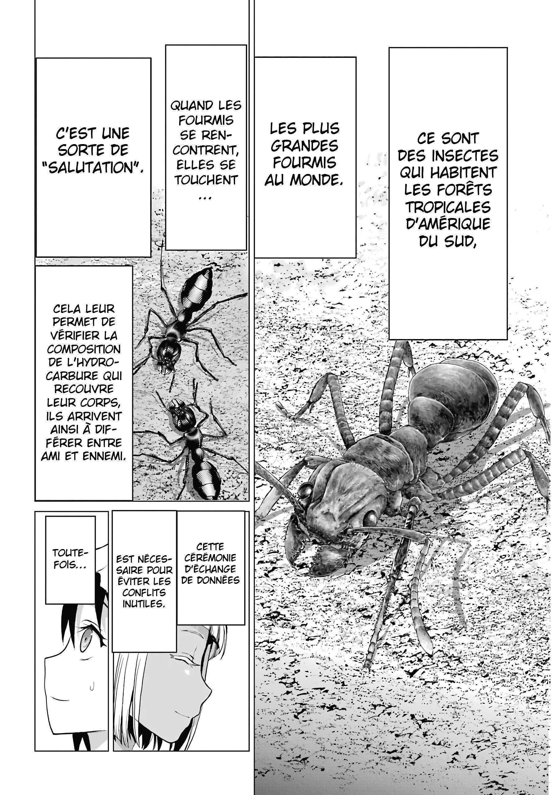  Blattodea - Chapitre 1 - 41