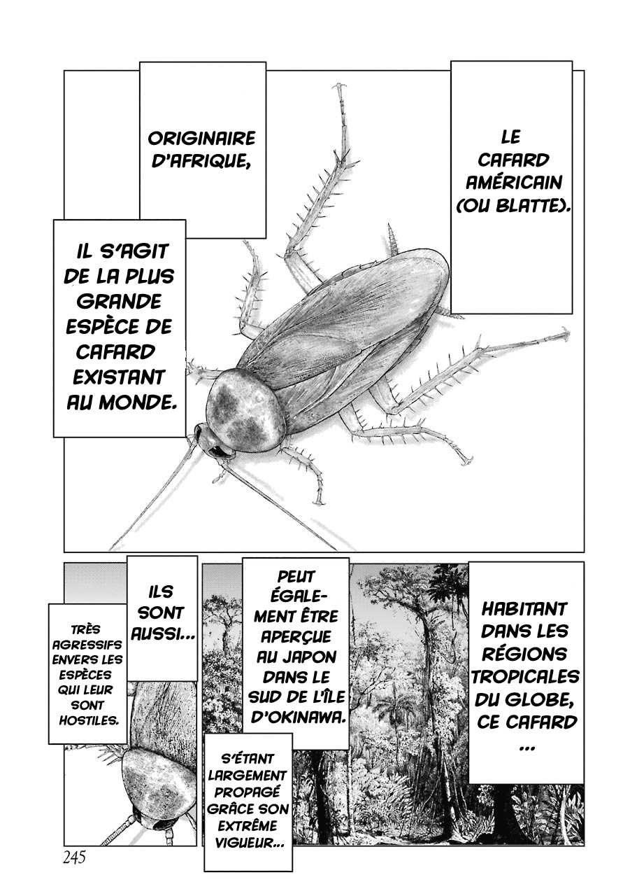  Blattodea - Chapitre 2 - 15