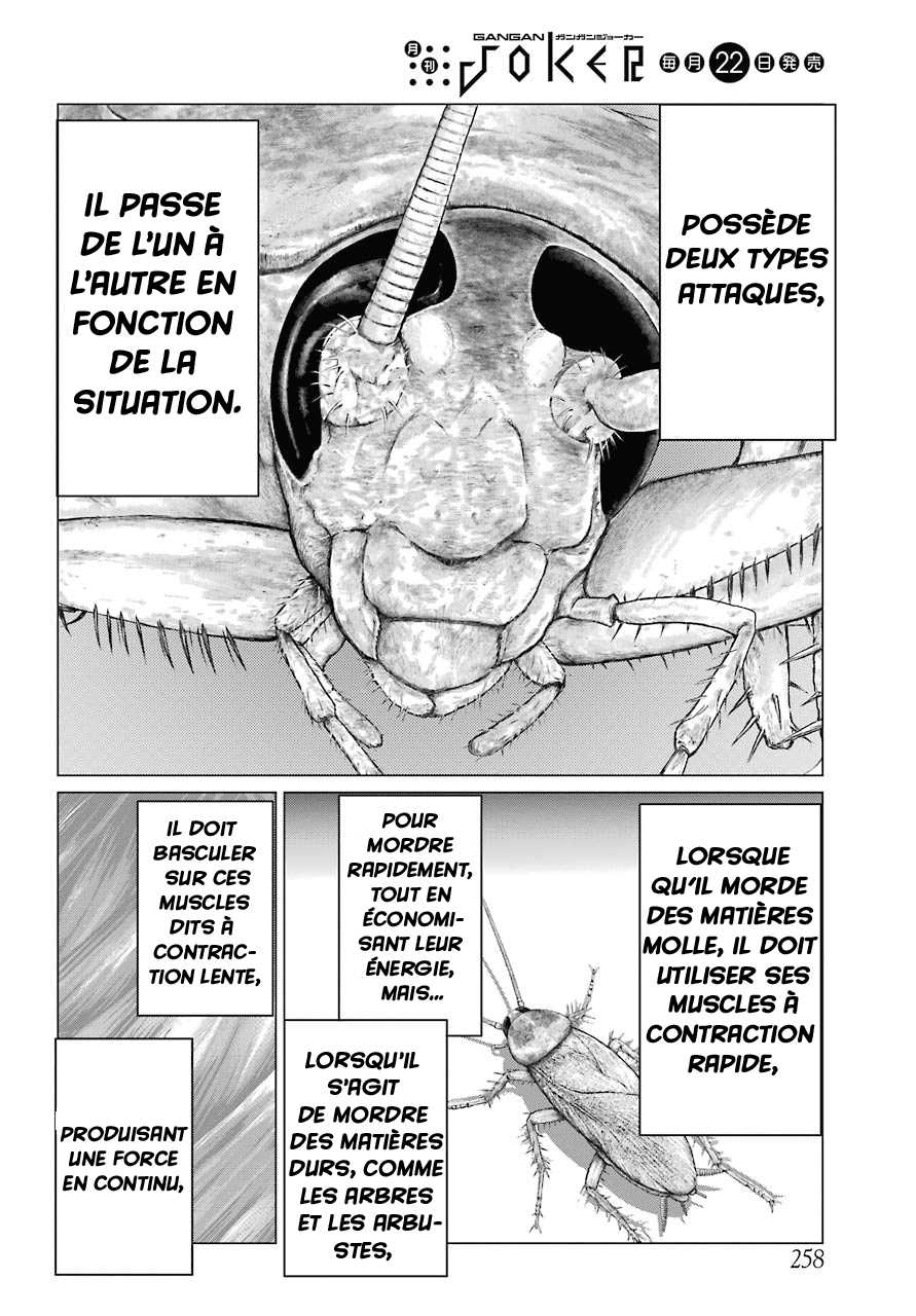  Blattodea - Chapitre 2 - 27