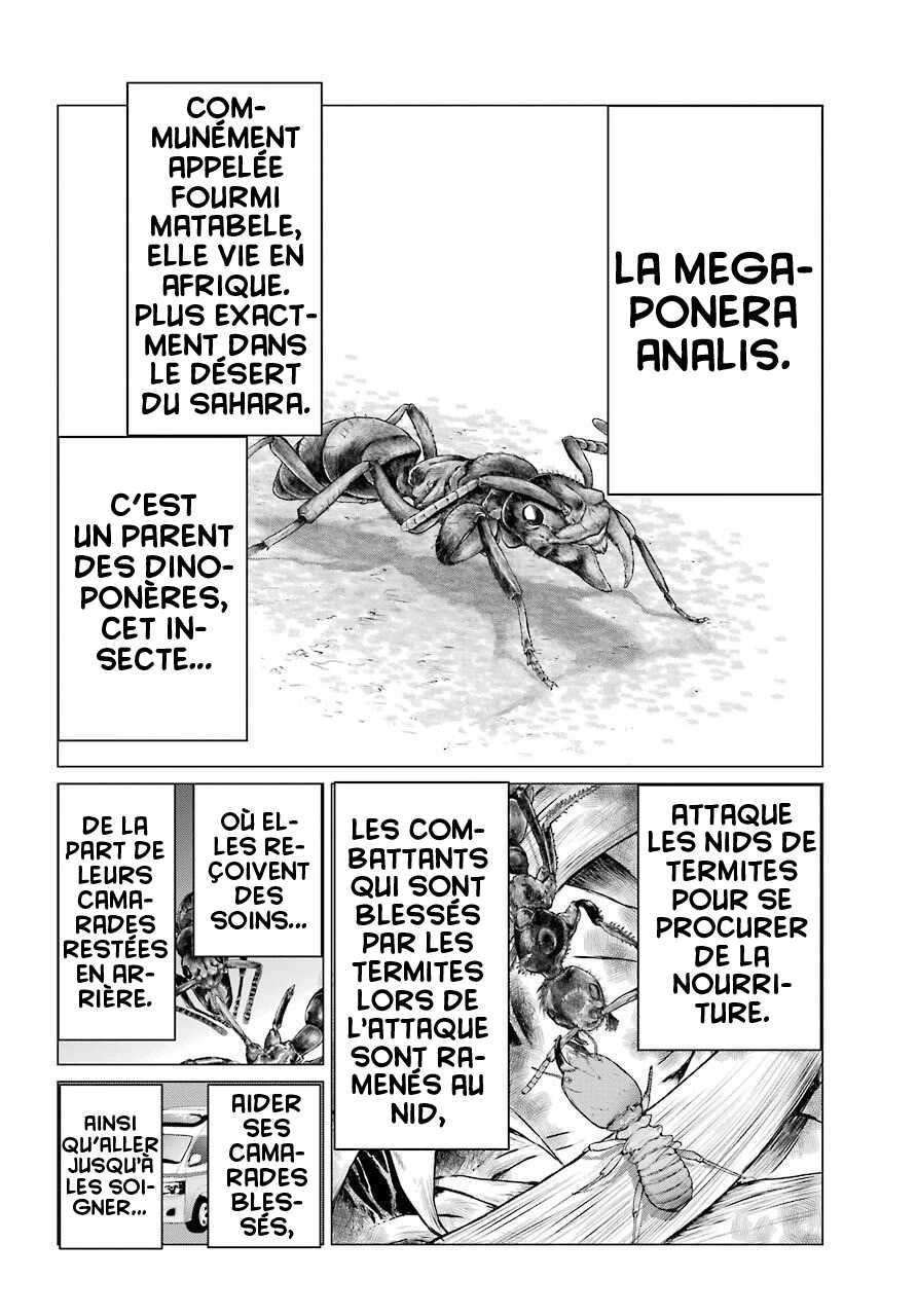  Blattodea - Chapitre 4 - 30