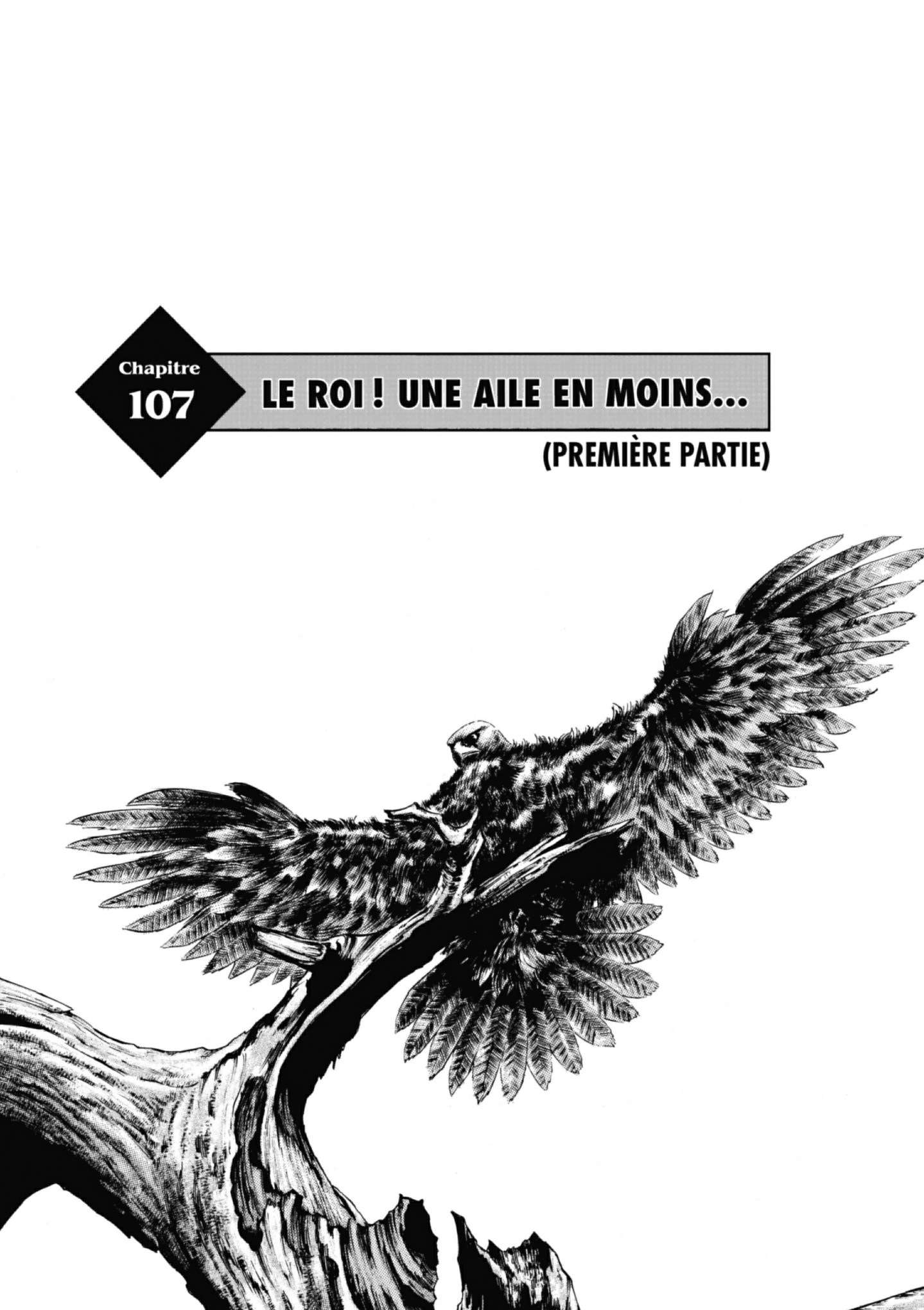  Coq de Combat - Volume 11 - 115