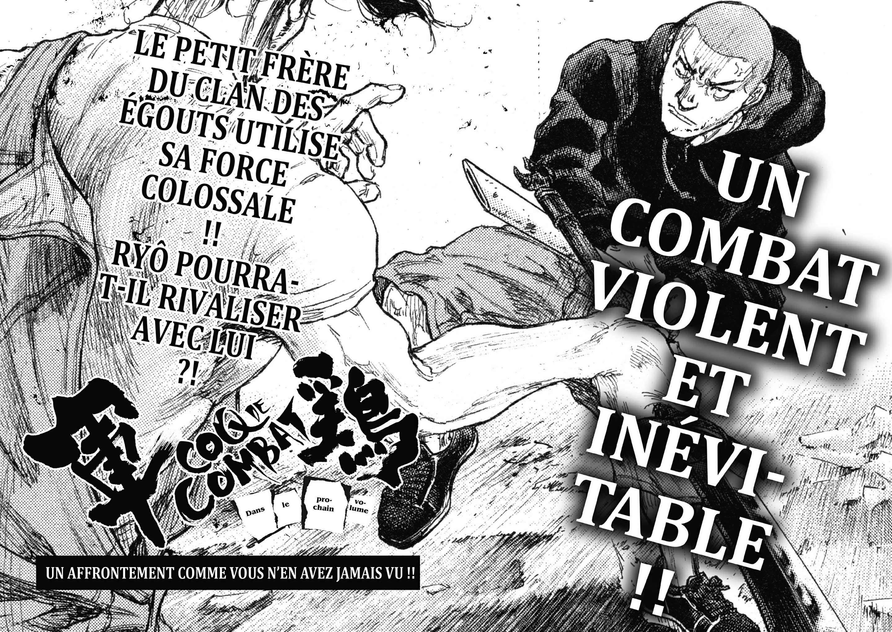  Coq de Combat - Volume 32 - 175