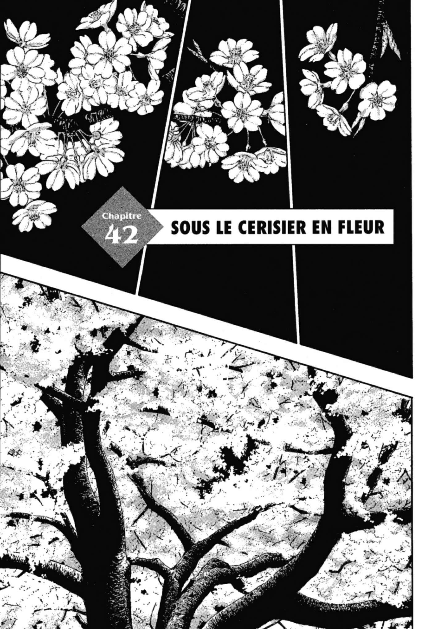  Coq de Combat - Volume 5 - 24