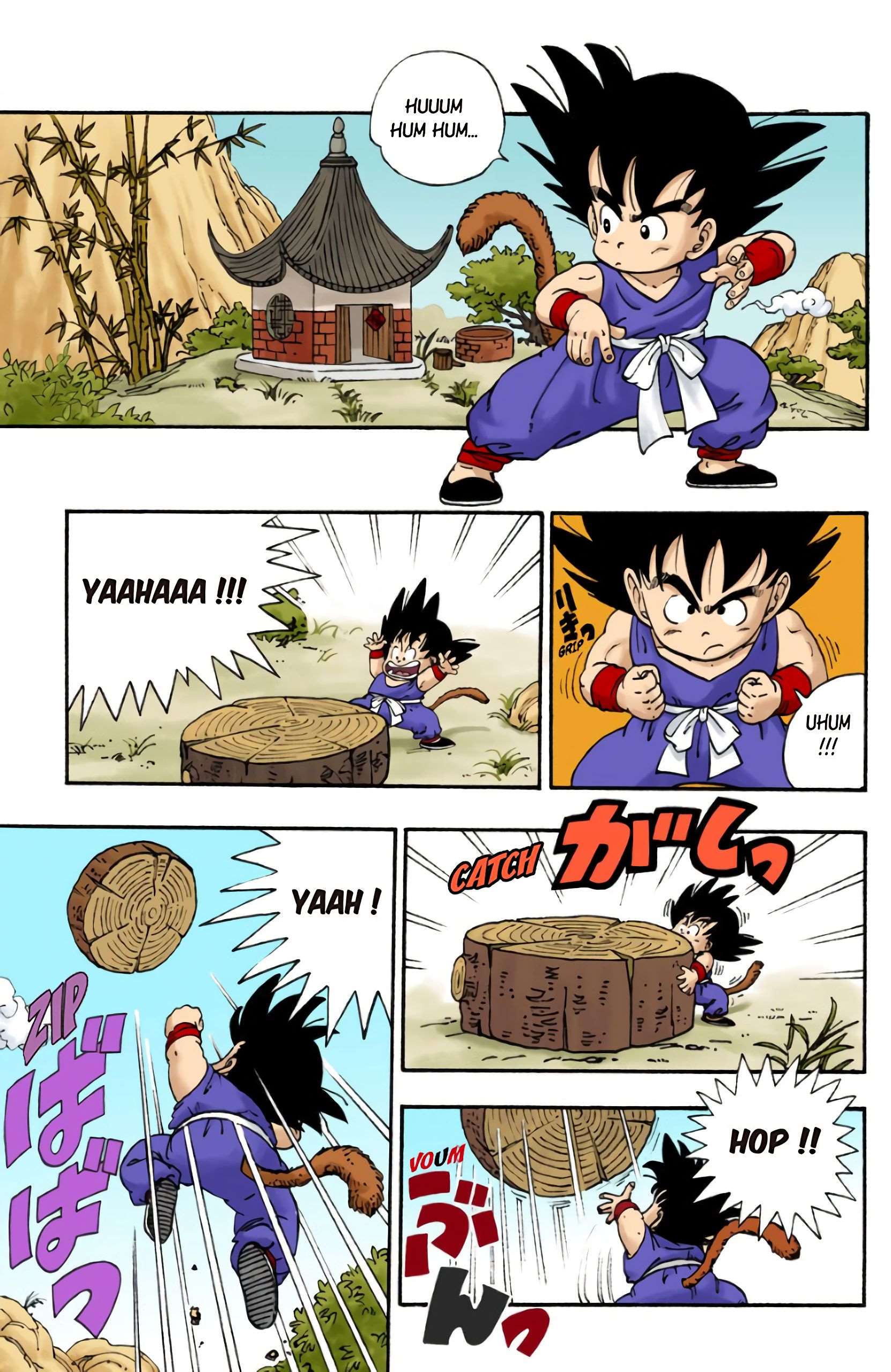  Dragon Ball - Chapitre 1 - 5