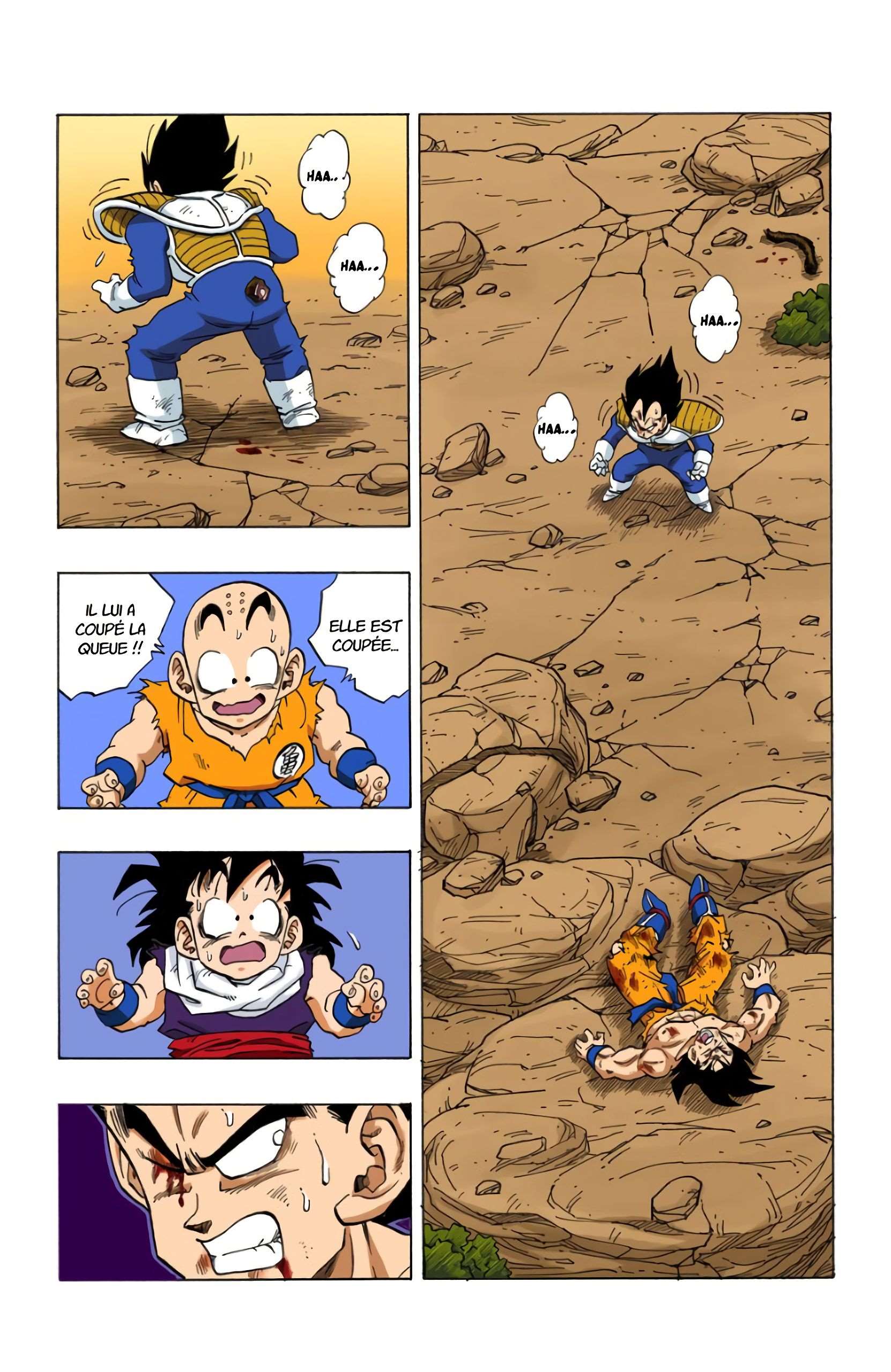  Dragon Ball - Chapitre 20 - 79