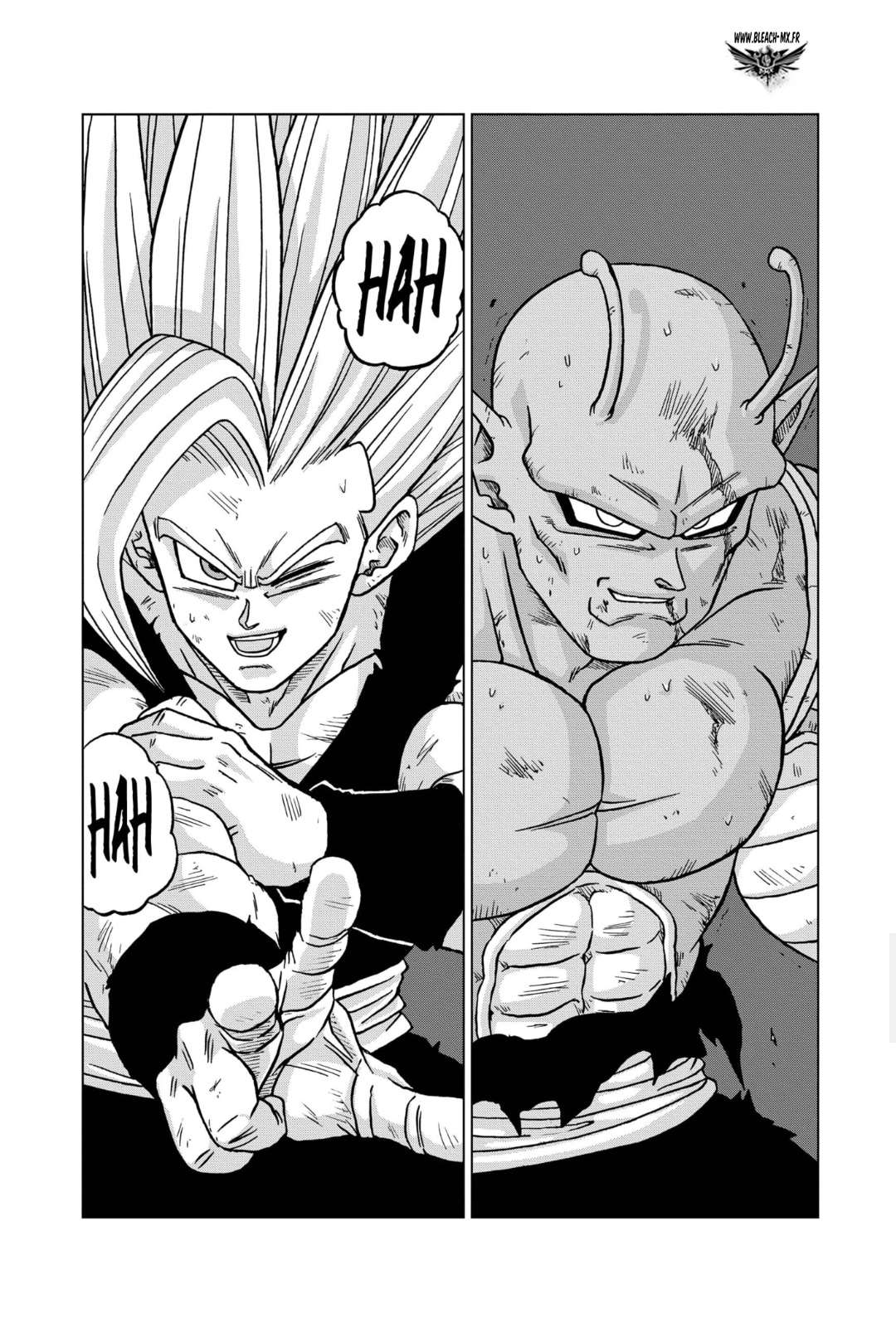  Dragon Ball Super - Chapitre 100 - 13