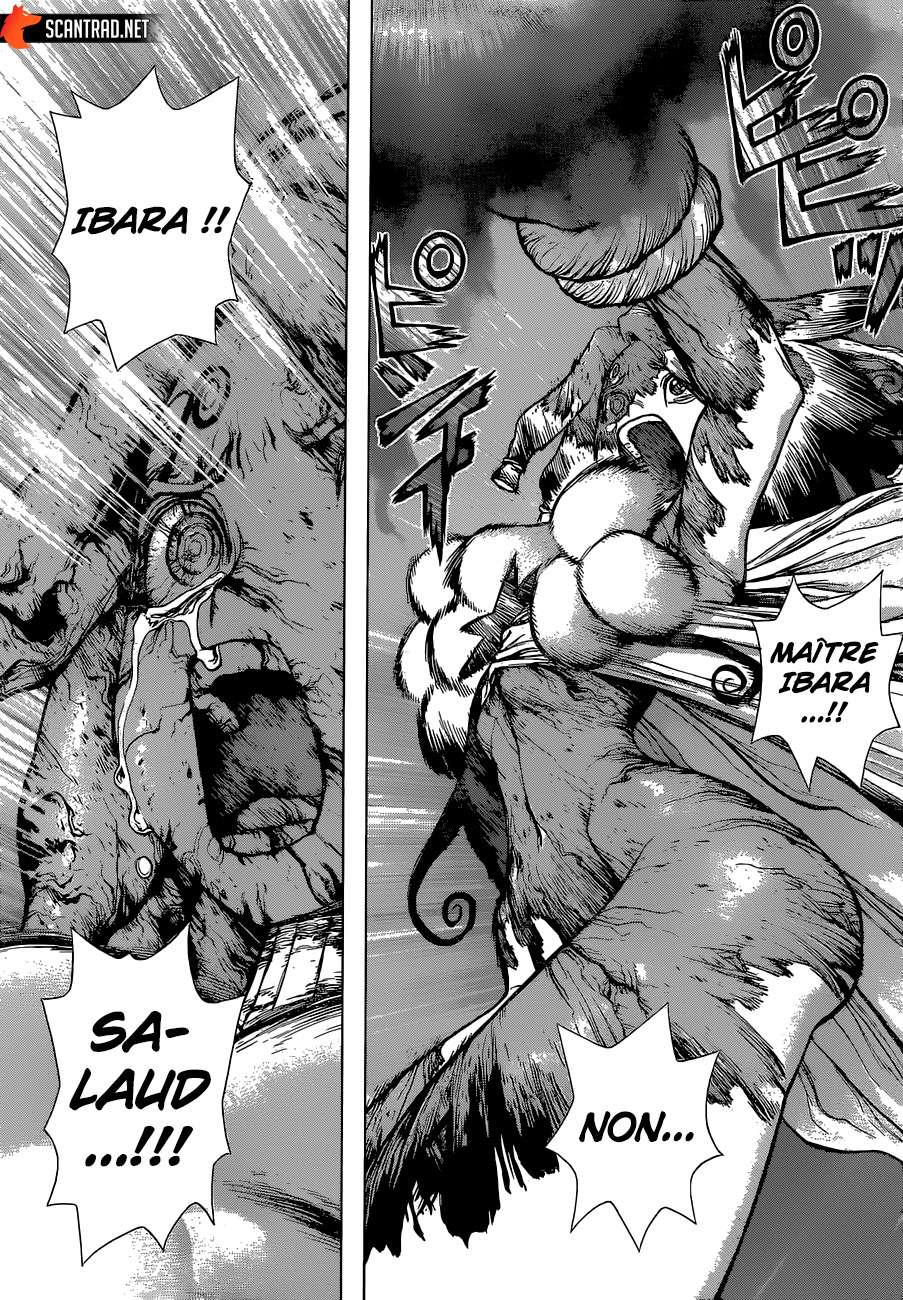  Dr. STONE - Chapitre 131 - 13