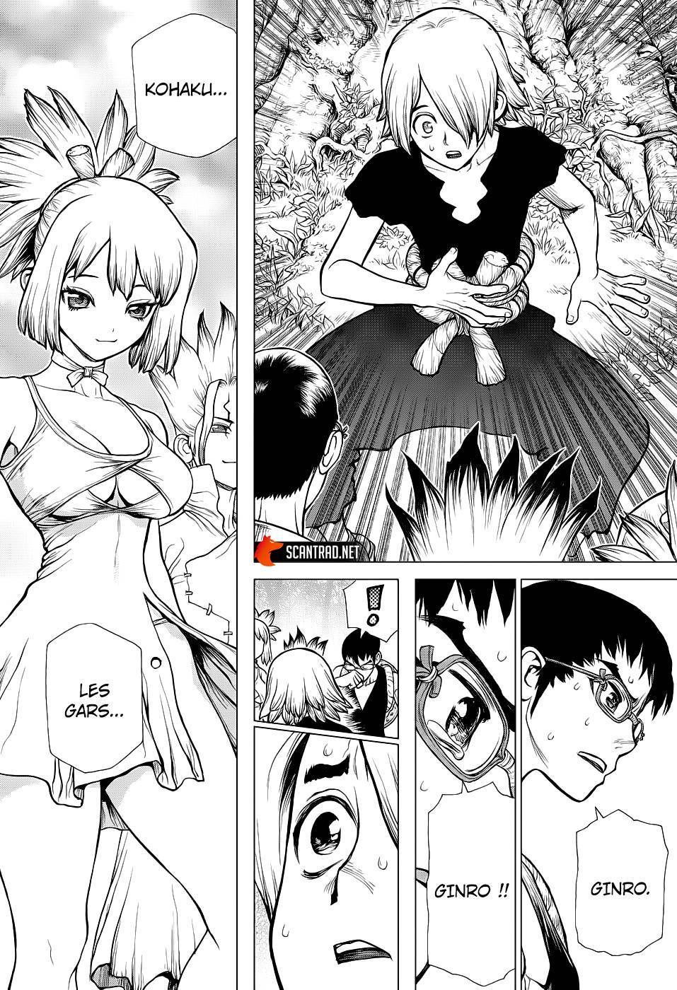  Dr. STONE - Chapitre 138 - 11