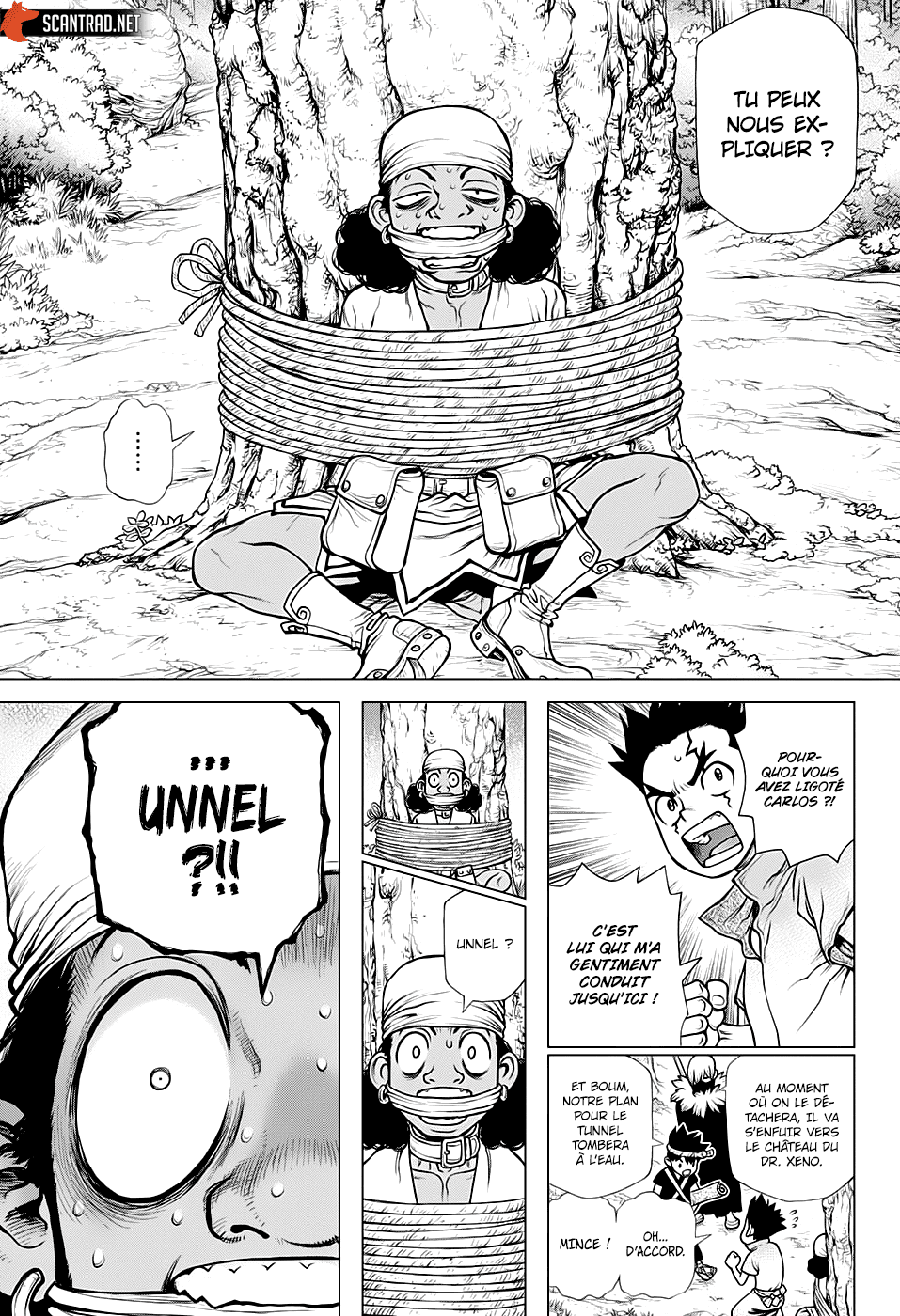  Dr. STONE - Chapitre 162 - 15