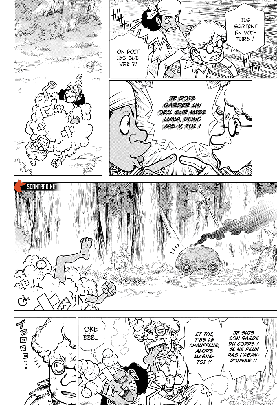  Dr. STONE - Chapitre 162 - 8