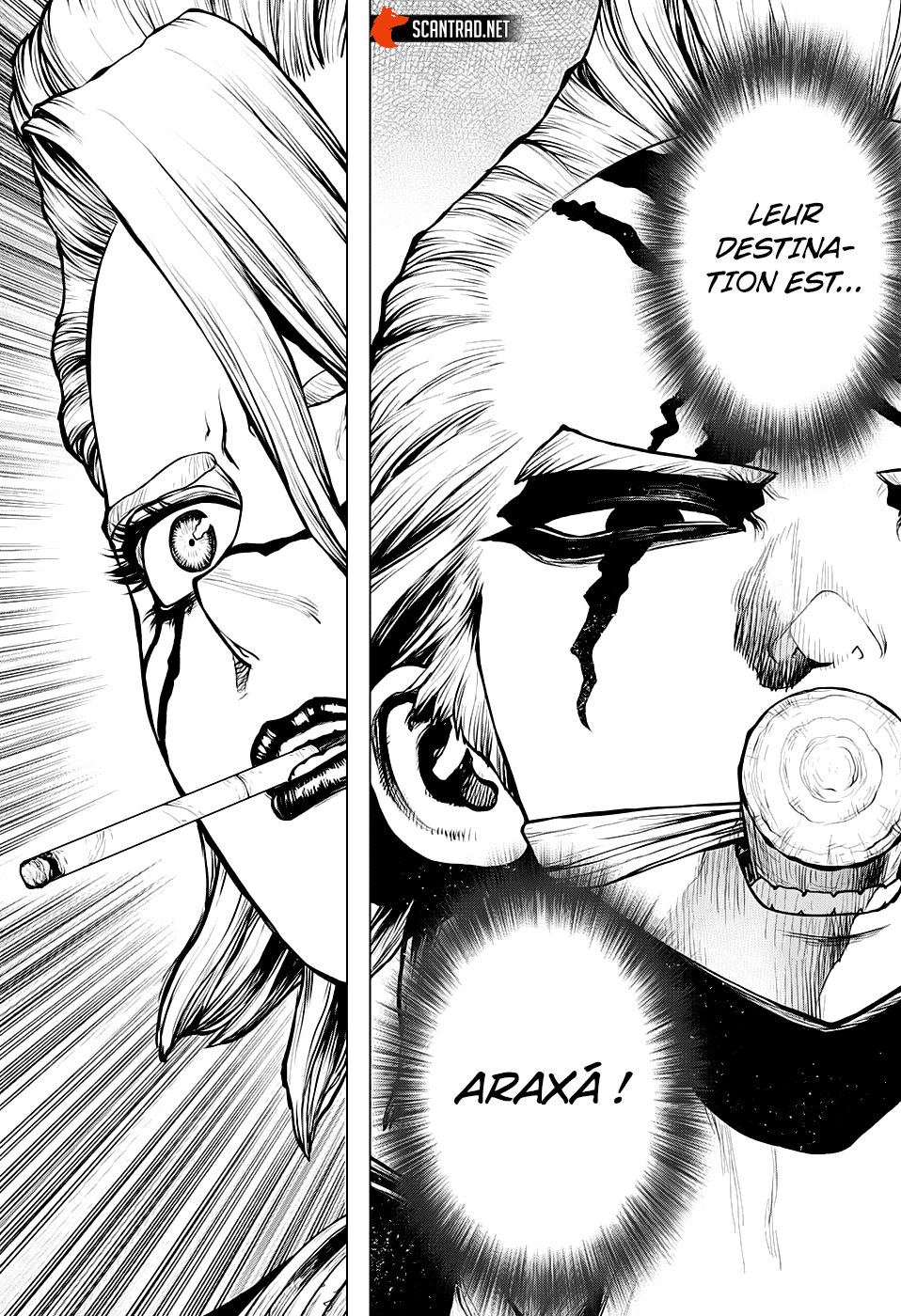  Dr. STONE - Chapitre 183 - 12