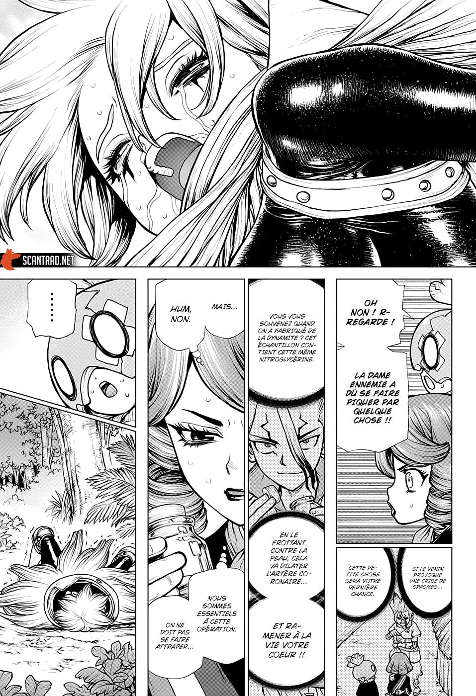  Dr. STONE - Chapitre 185 - 15