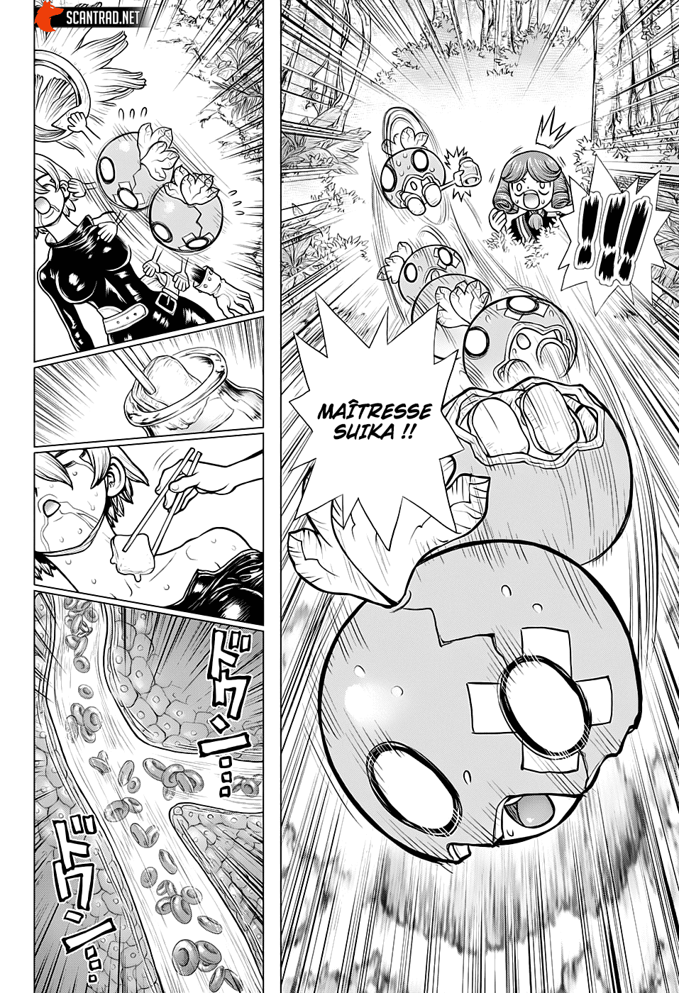  Dr. STONE - Chapitre 185 - 16