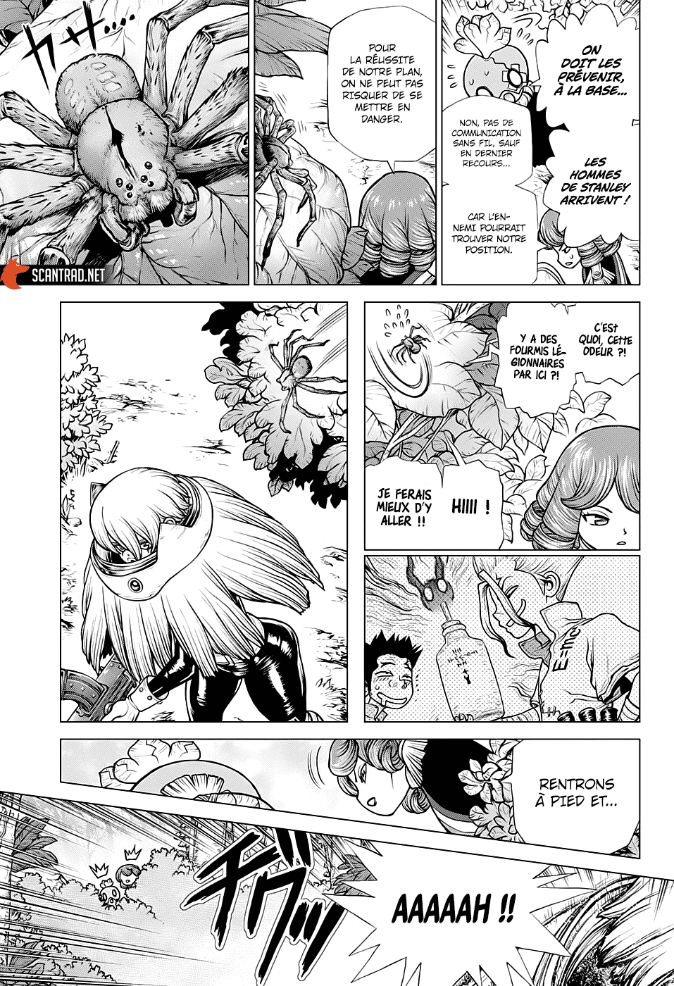  Dr. STONE - Chapitre 185 - 13