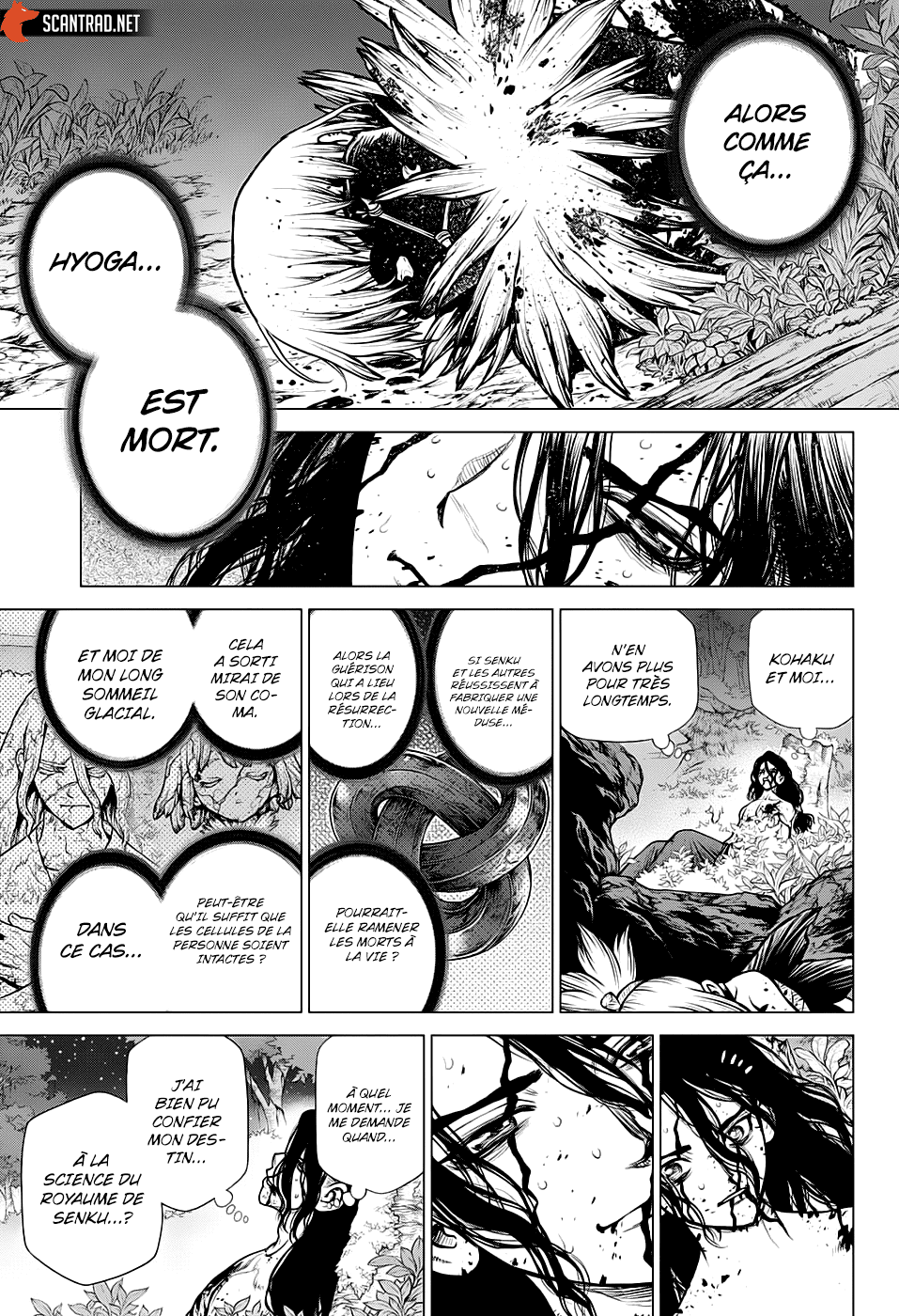  Dr. STONE - Chapitre 188 - 14