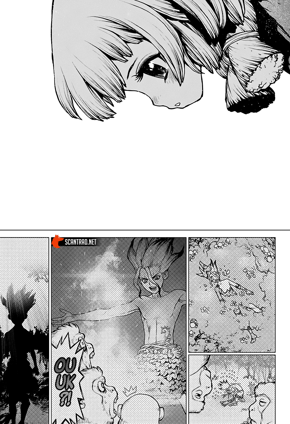  Dr. STONE - Chapitre 194 - 14