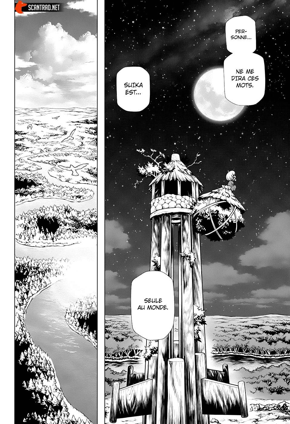  Dr. STONE - Chapitre 195 - 7