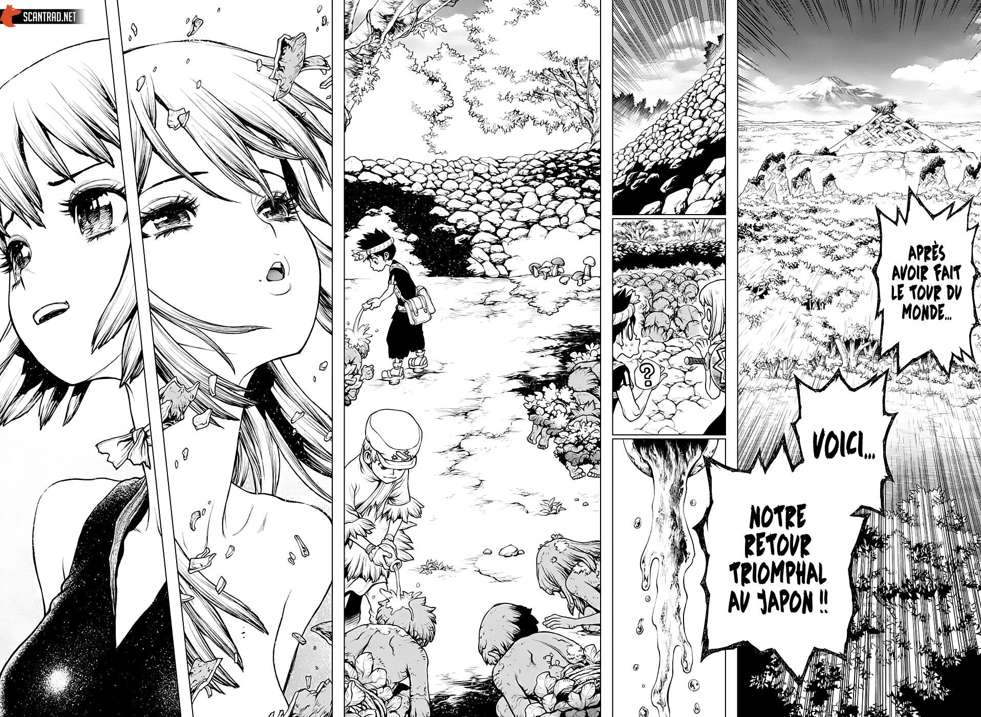  Dr. STONE - Chapitre 212 - 5