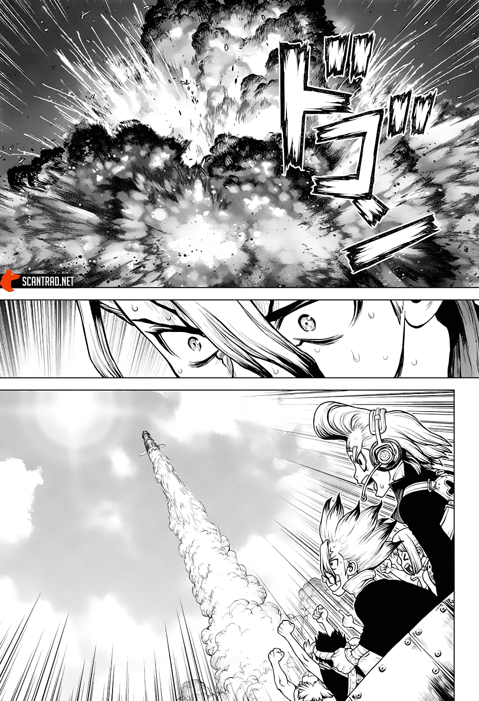  Dr. STONE - Chapitre 215 - 15