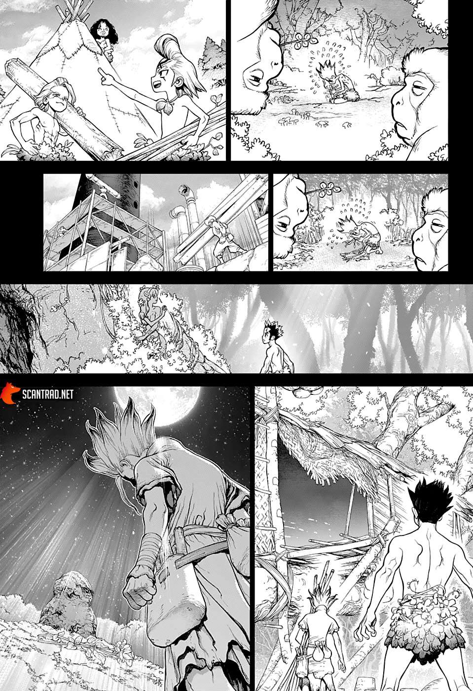  Dr. STONE - Chapitre 229 - 14