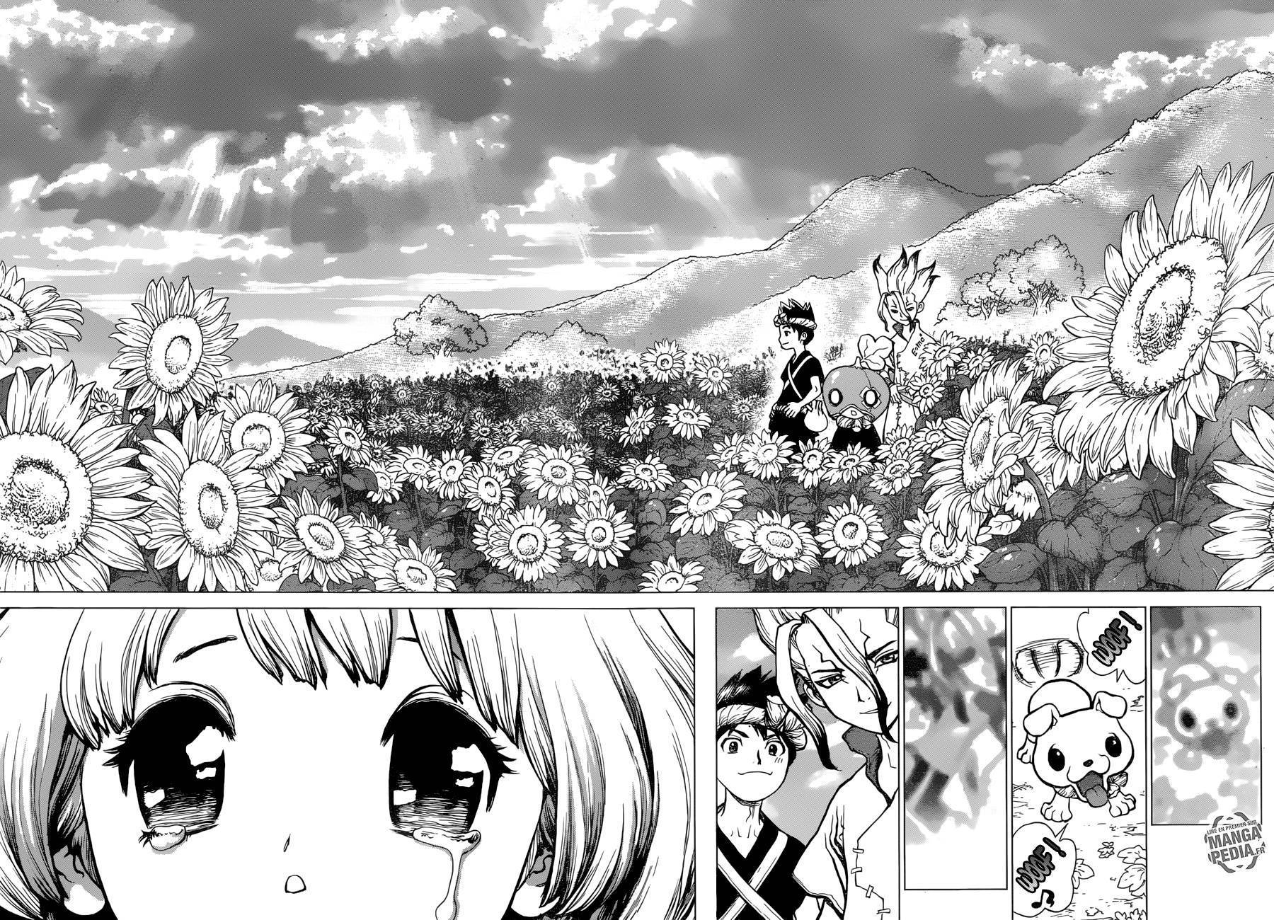  Dr. STONE - Chapitre 28 - 15