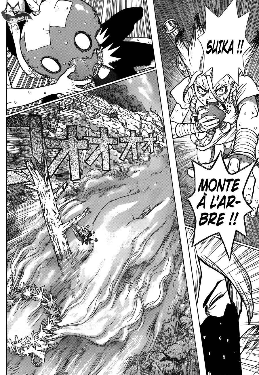  Dr. STONE - Chapitre 49 - 12