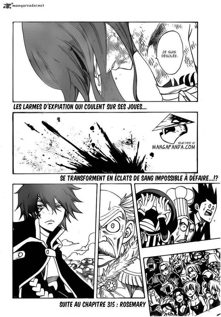  Fairy Tail - Chapitre 314 - 21