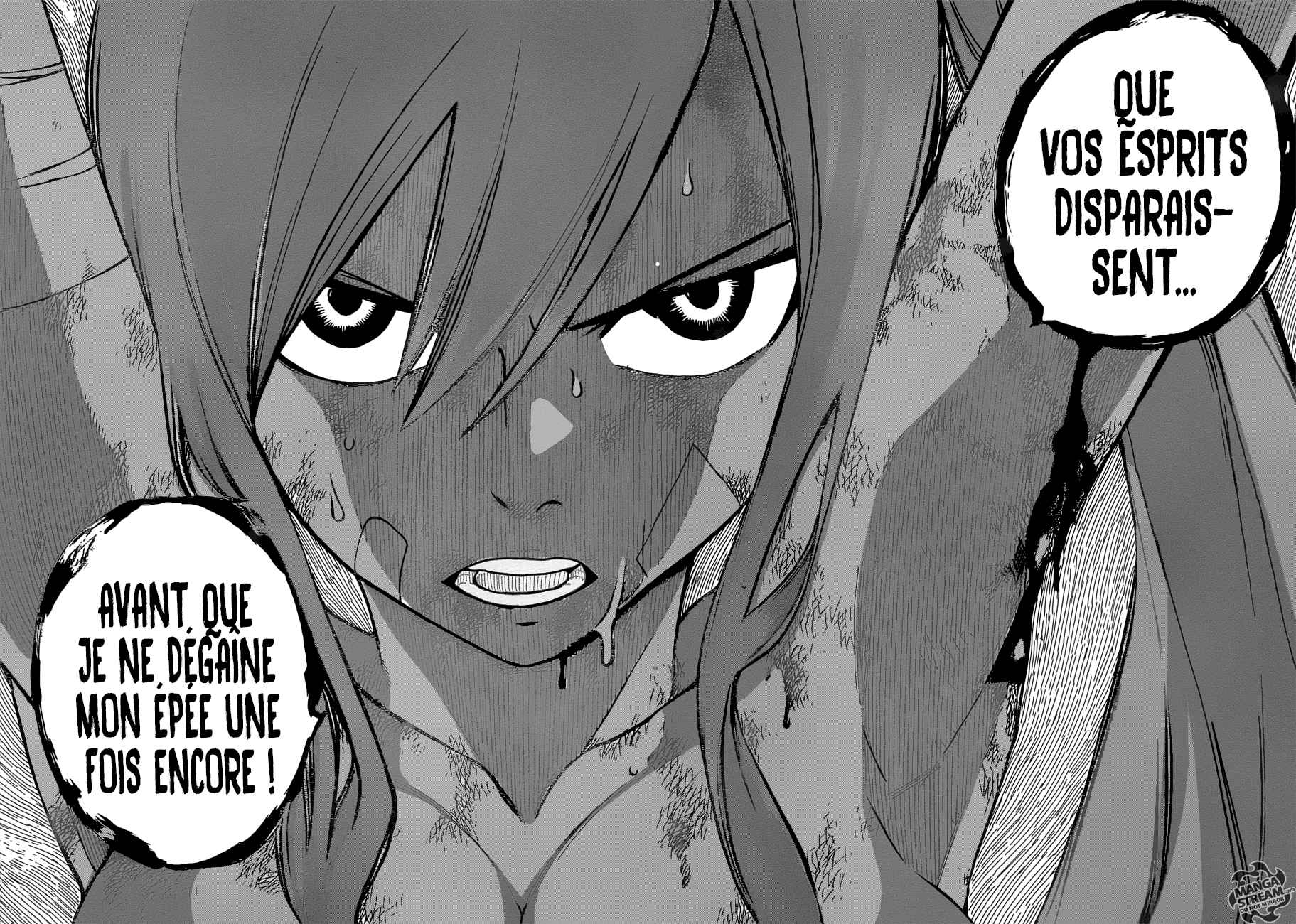  Fairy Tail - Chapitre 482 - 17