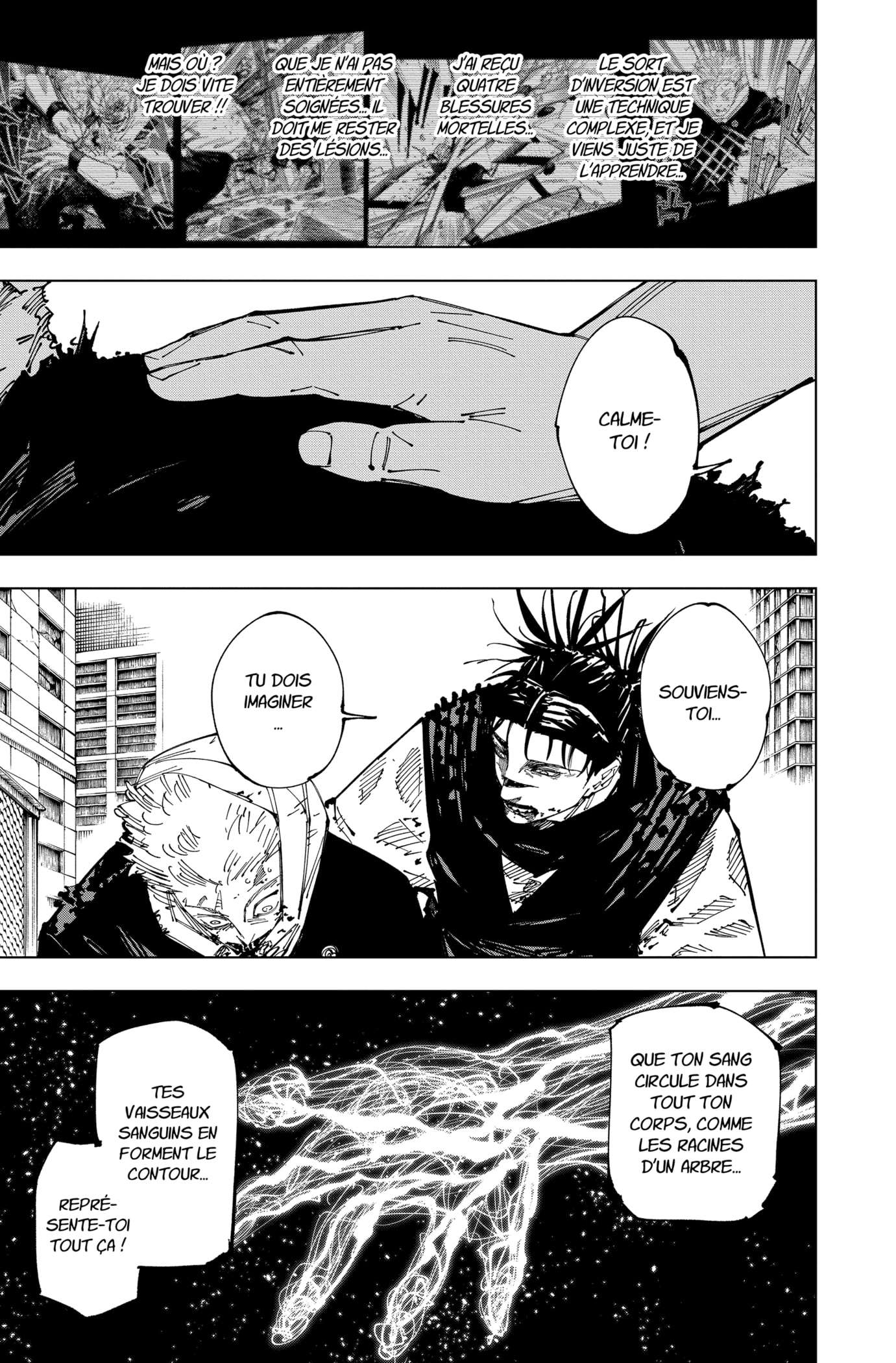  Jujutsu Kaisen - Chapitre 252 - 9