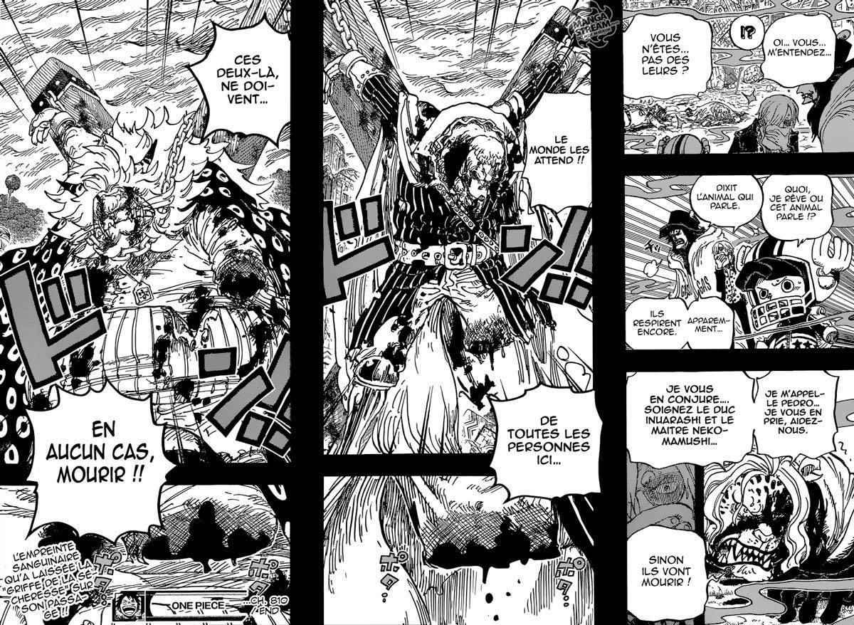  One Piece - Chapitre 810 - 17