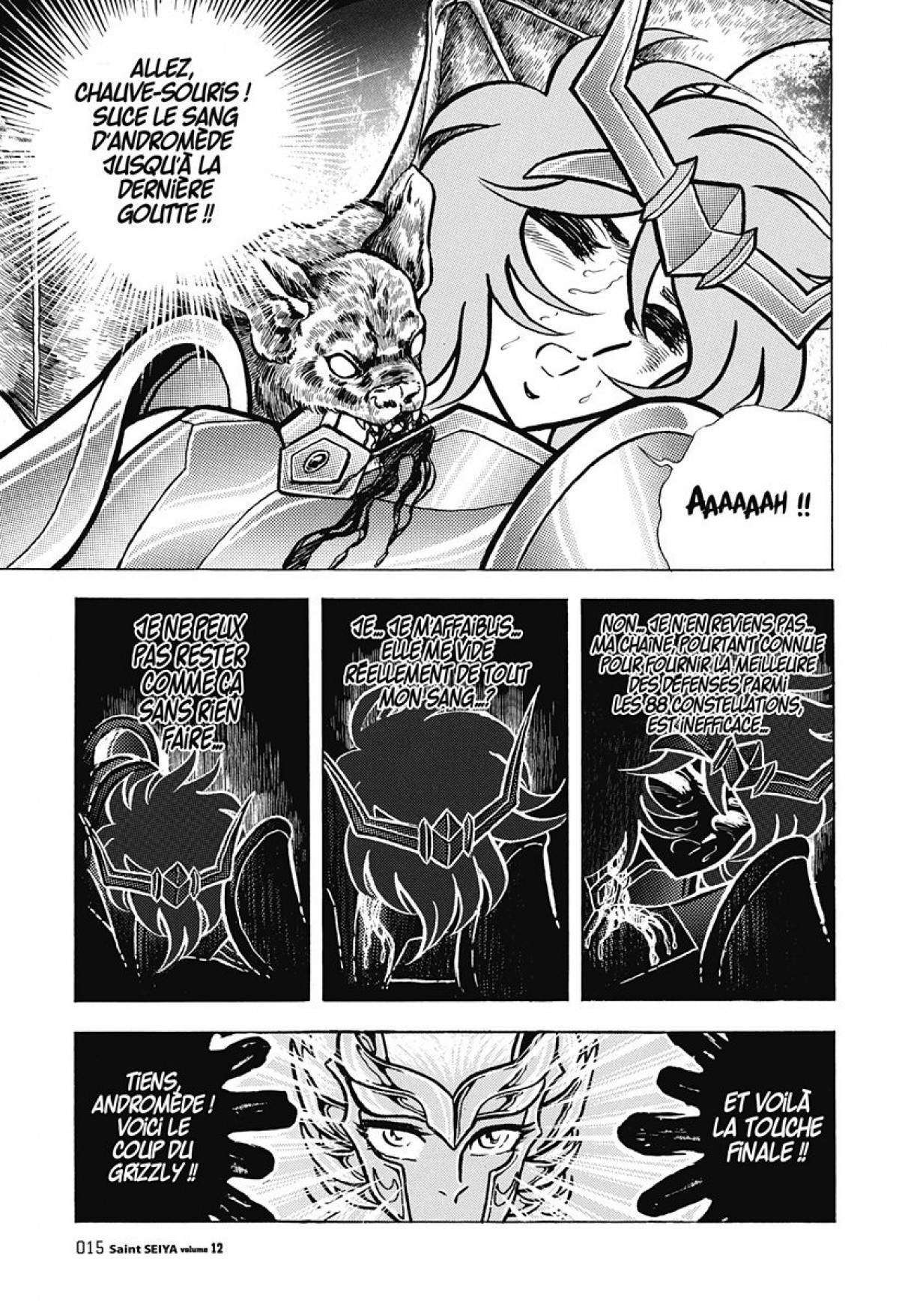  Saint Seiya – Les Chevaliers du Zodiaque - Chapitre 12 - 15