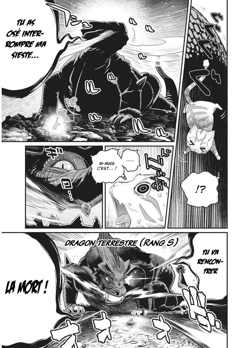  S-Rank Monster no Behemoth Dakedo, Neko to Machigawarete Erufu Musume no Kishi (Pet) Toshite Kurashitemasu - Chapitre 1 - 19