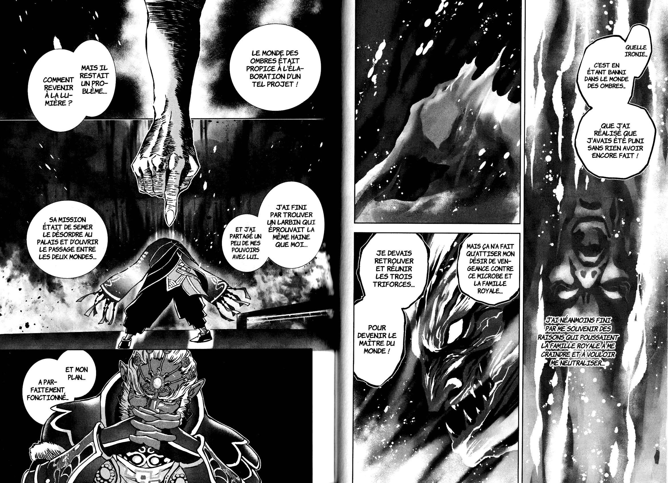  The Legend of Zelda – Twilight Princess - Chapitre 39 - 8