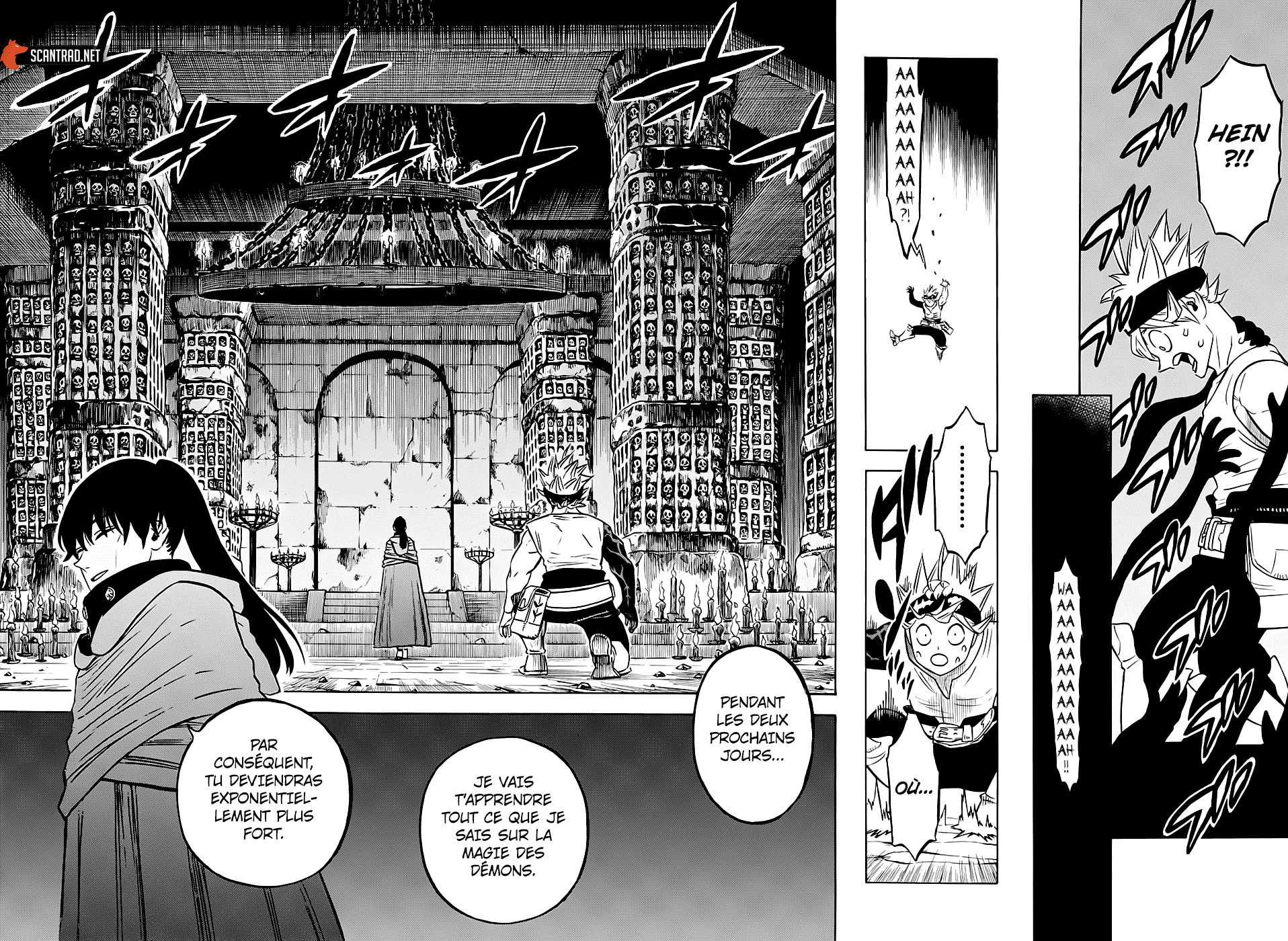  Black Clover Français - Black Clover 266 Invitation au jardin sombre - 12