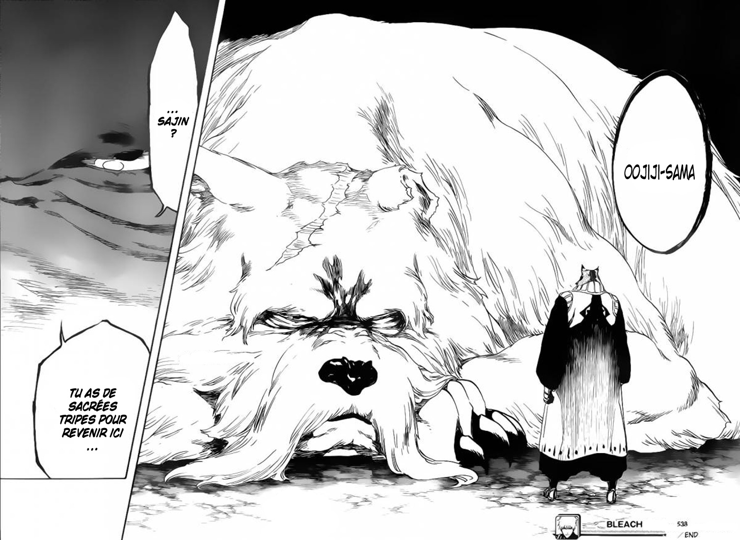  Bleach Français - Bleach 538 Standing on the Edge - 17