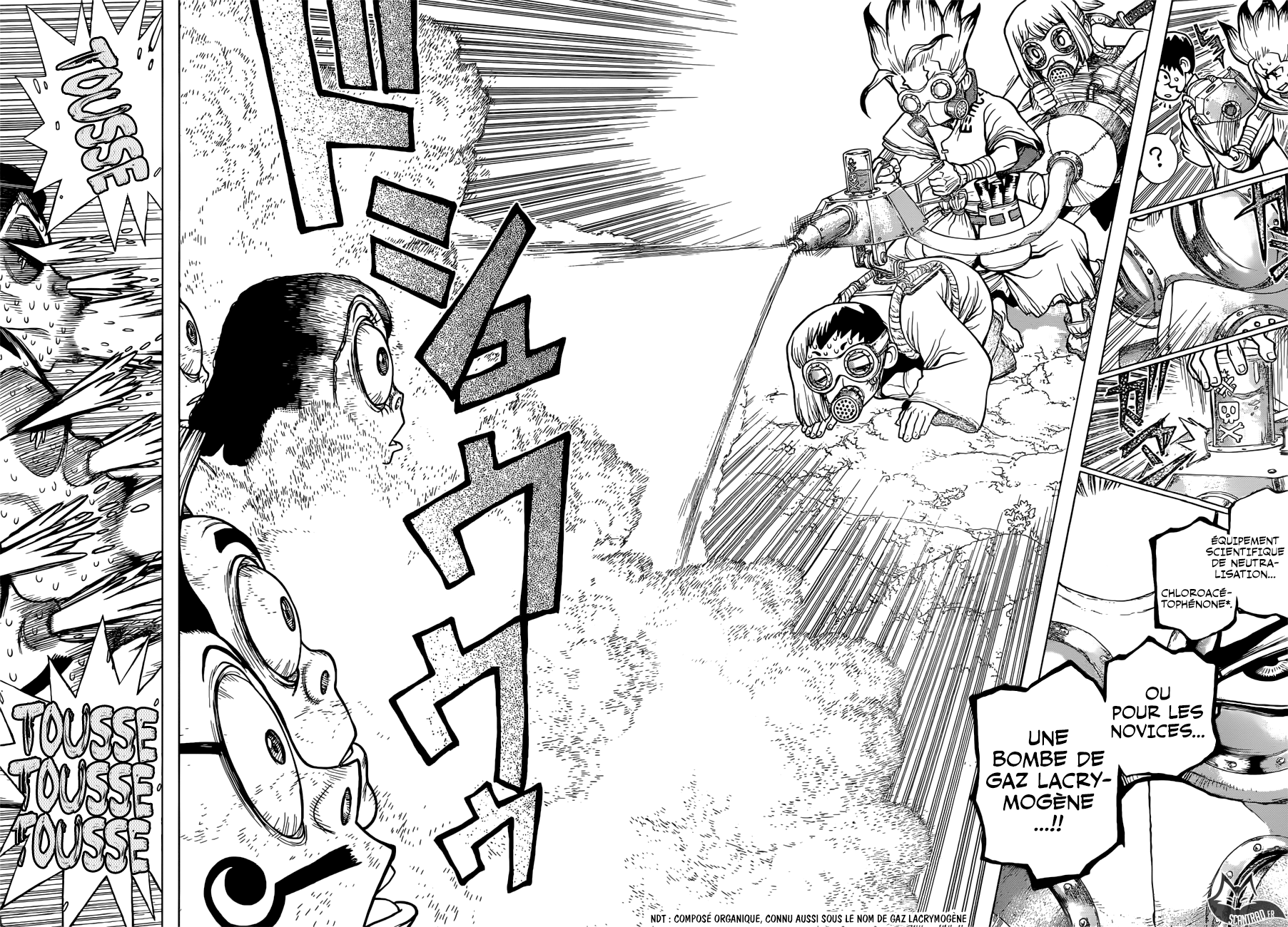  Dr. Stone Français - Dr. Stone 105 La beauté de l'ile - 14