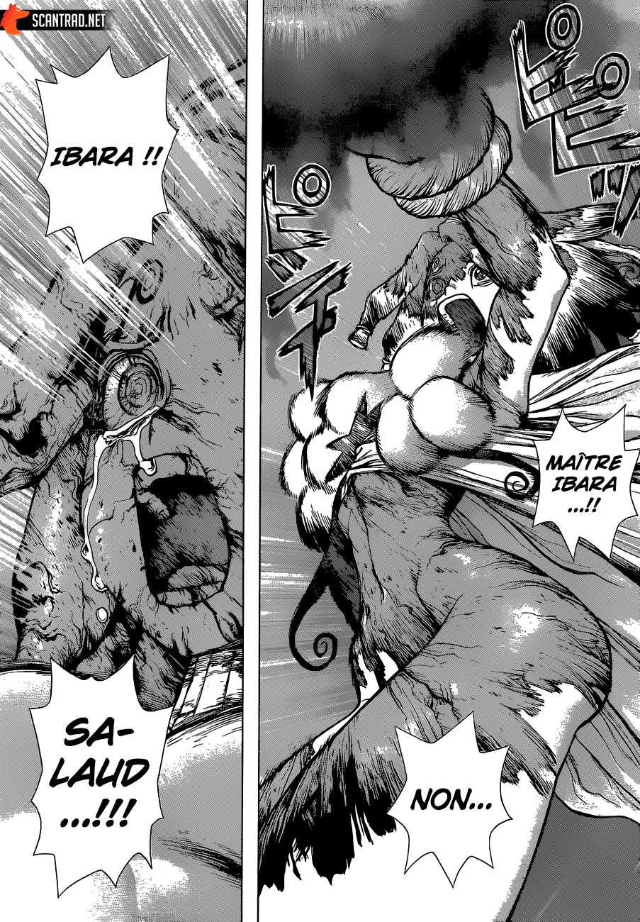  Dr. Stone Français - Dr. Stone 131 Le crime d'avoir une tête de con - 13