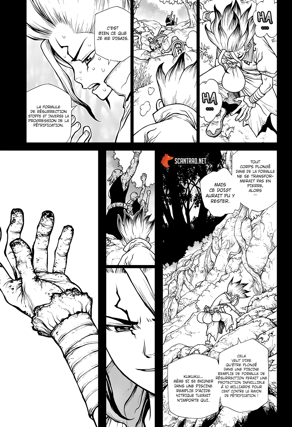  Dr. Stone Français - Dr. Stone 135 Décompte - 11