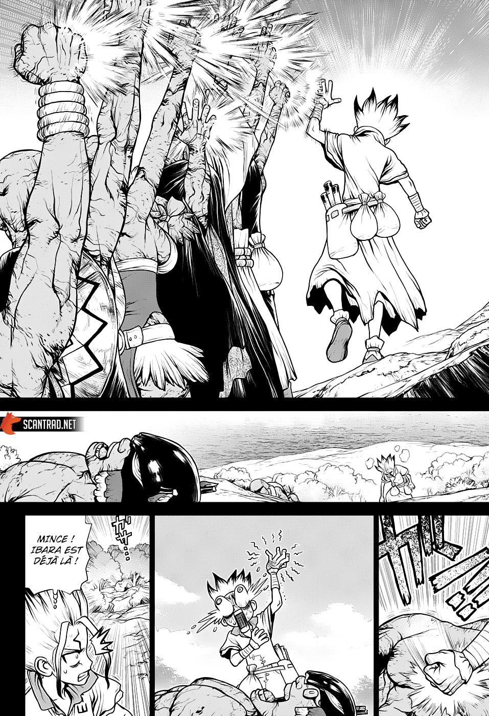  Dr. Stone Français - Dr. Stone 135 Décompte - 12