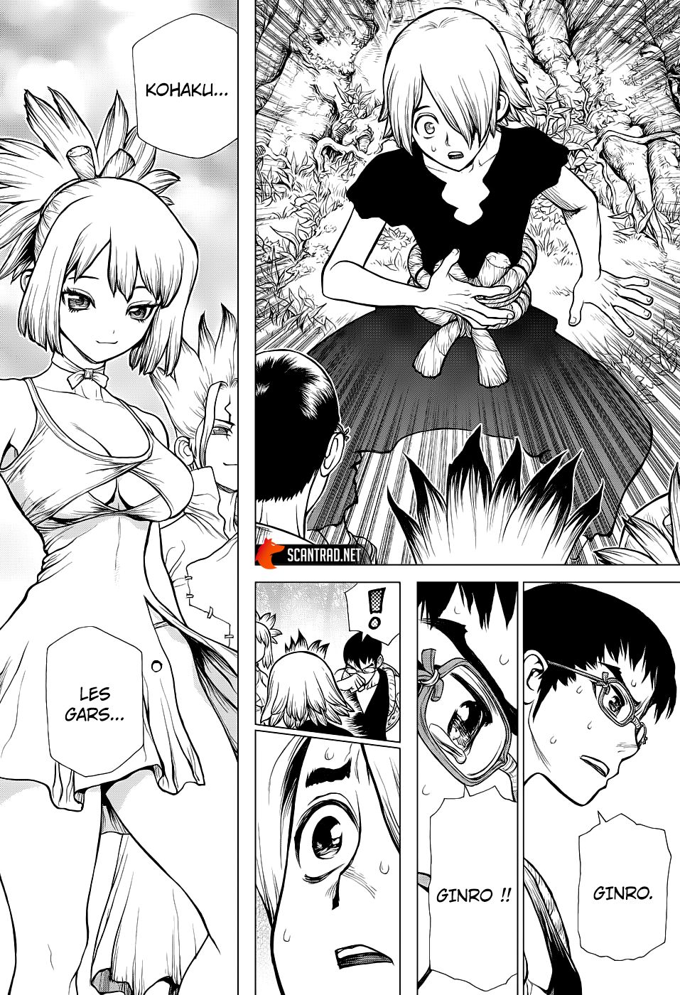  Dr. Stone Français - Dr. Stone 138 Fin du troisième arc - 10