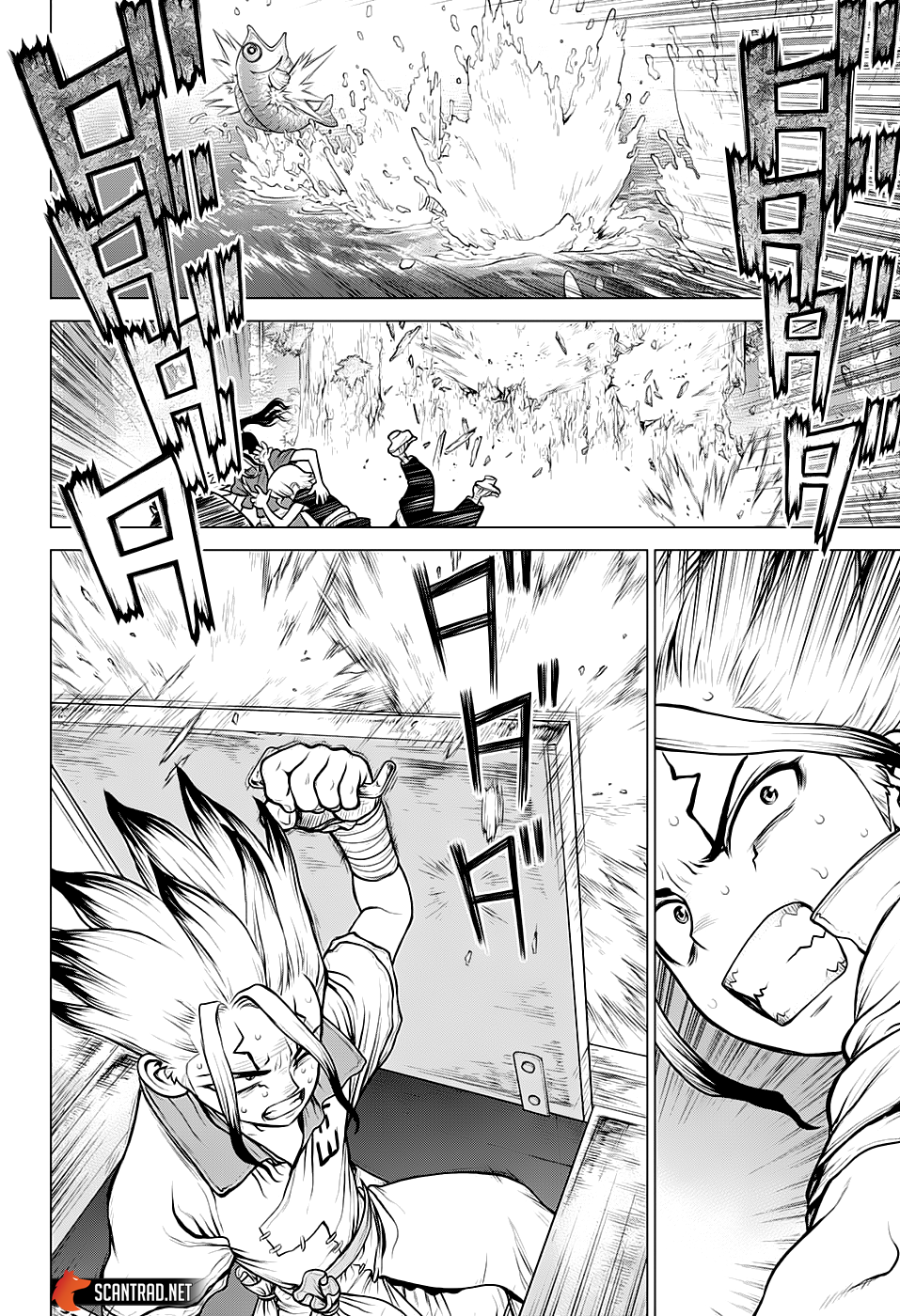  Dr. Stone Français - Dr. Stone 149 Appât lumineux dans l'obscurité - 14