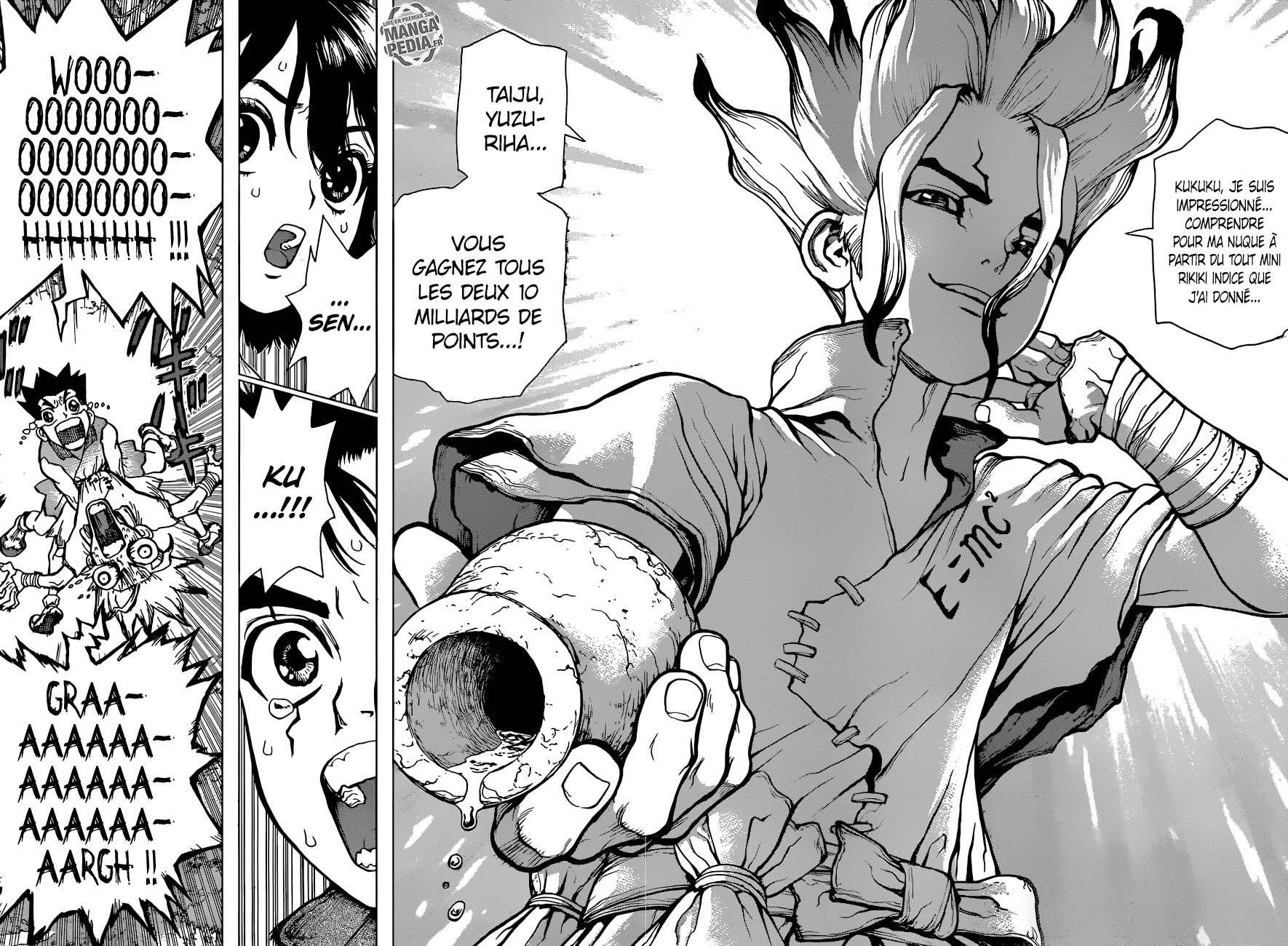  Dr. Stone Français - Dr. Stone 15 Les deux pays du monde de pierre - 4