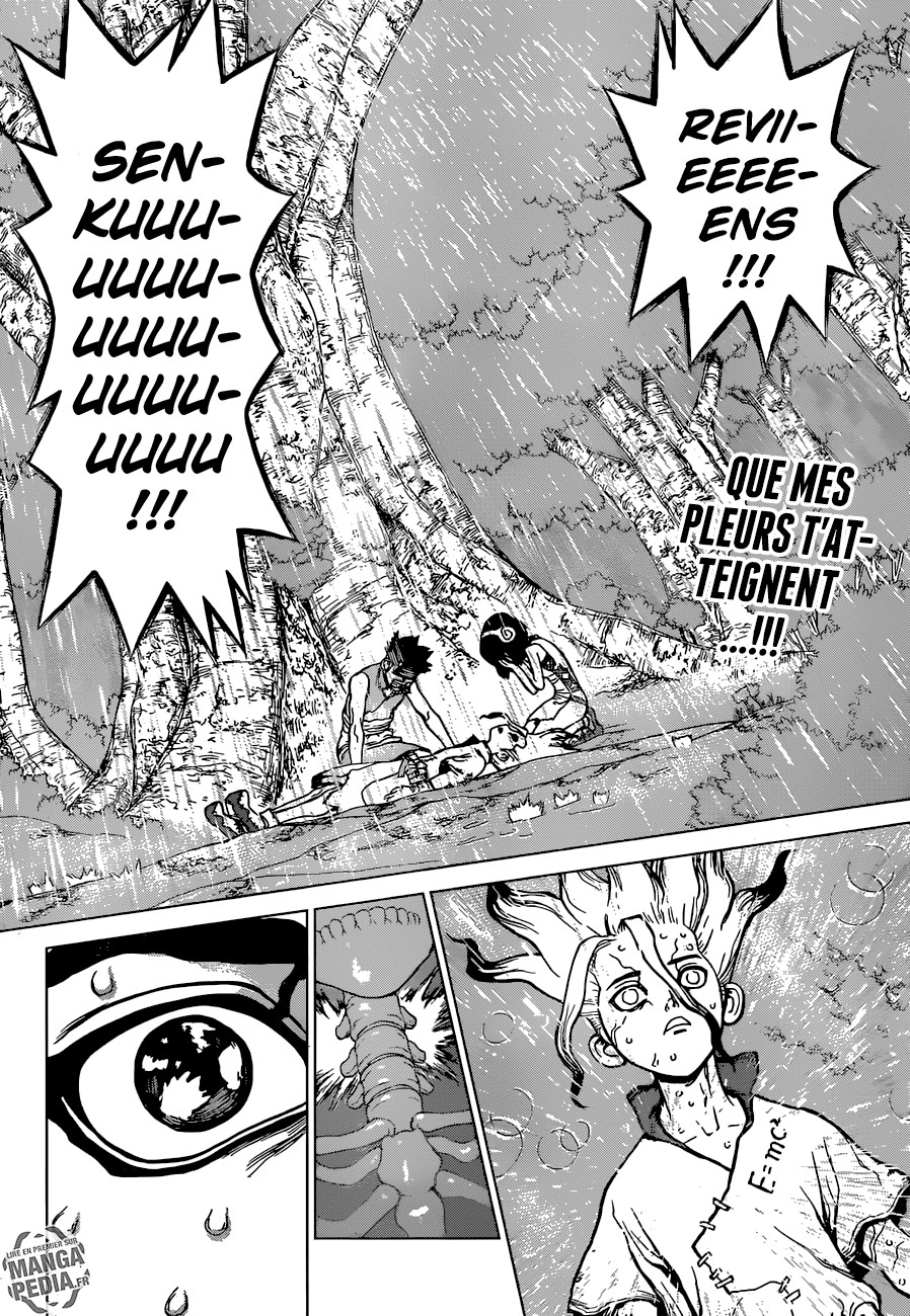  Dr. Stone Français - Dr. Stone 15 Les deux pays du monde de pierre - 2