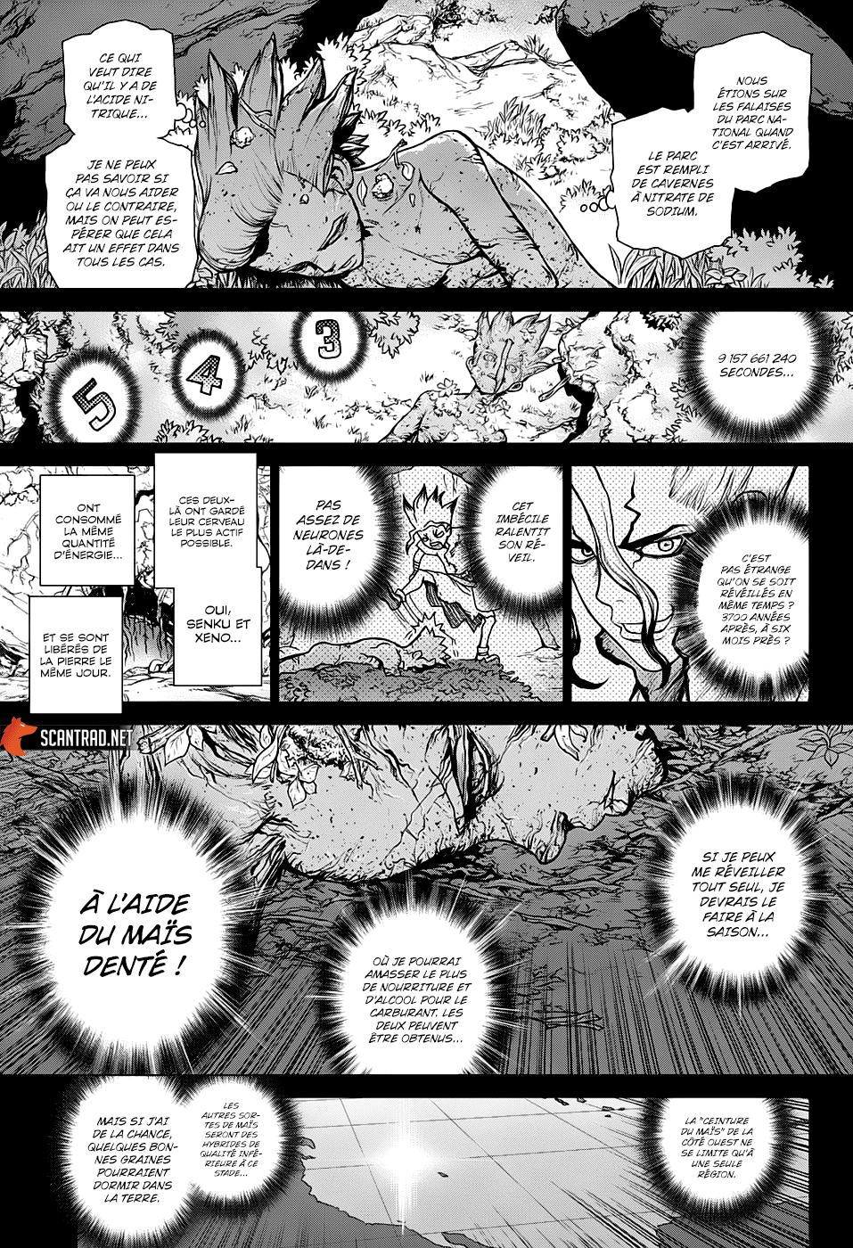  Dr. Stone Français - Dr. Stone 157 Même endroit, même moment - 14