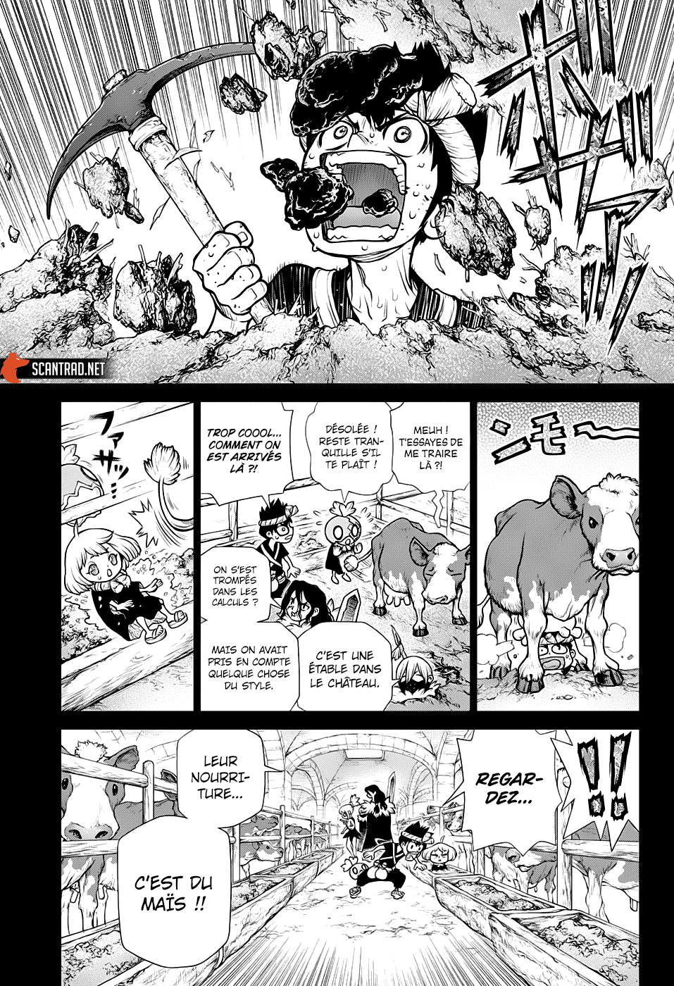  Dr. Stone Français - Dr. Stone 167 Différents coups - 3