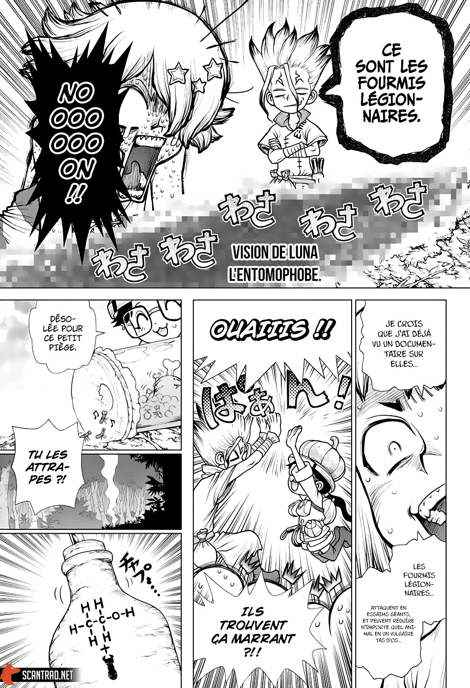  Dr. Stone Français - Dr. Stone 180 Écoeurant et pourtant si beau - 7